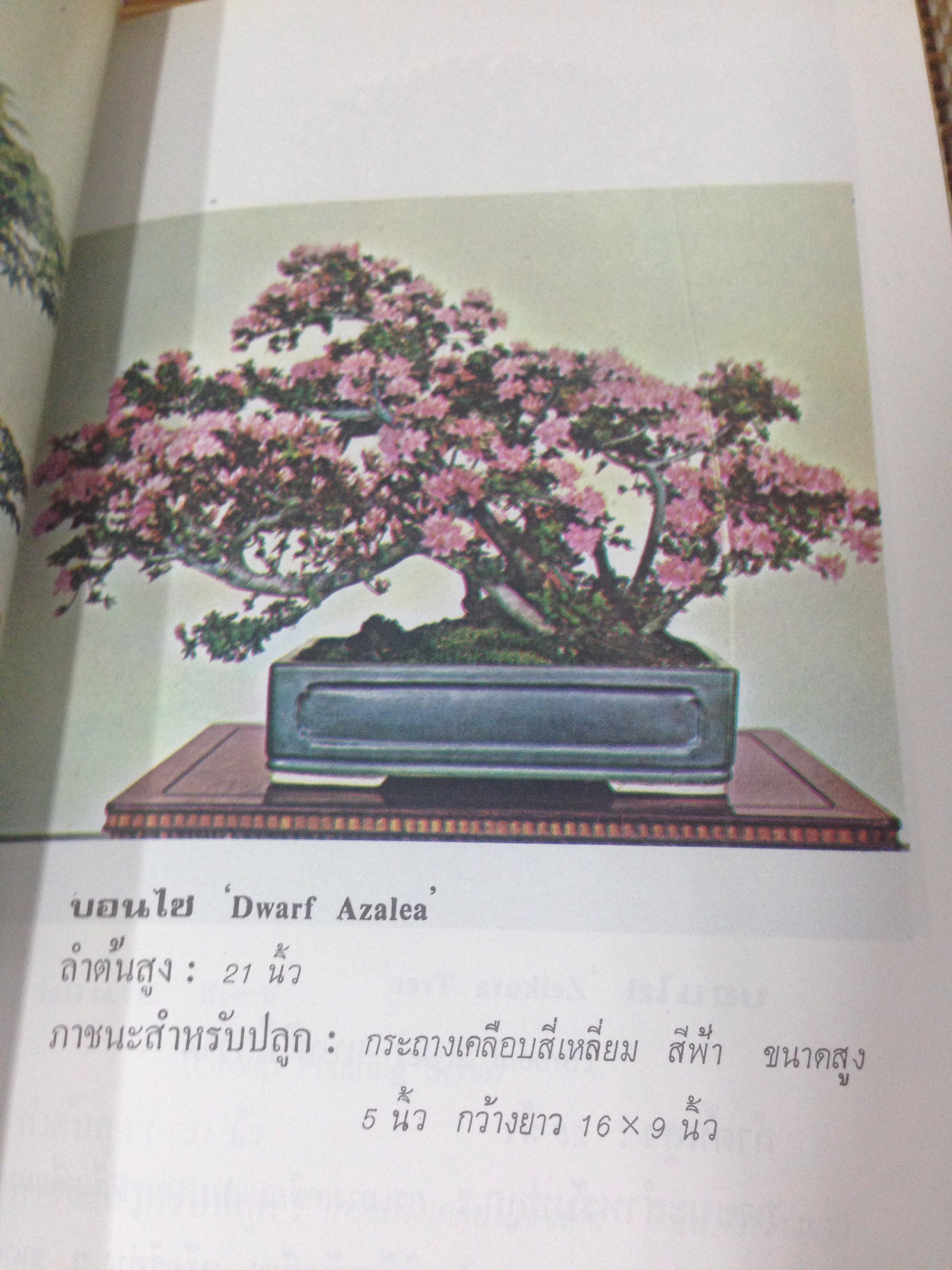 ตำราปลูกเลี้ยงและขยายพันธุ์บอนไซ BONSAI