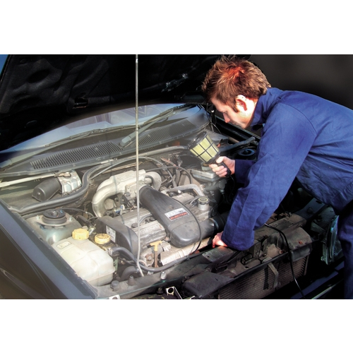 LEAD LAMP 240V PLASTIC CAGE