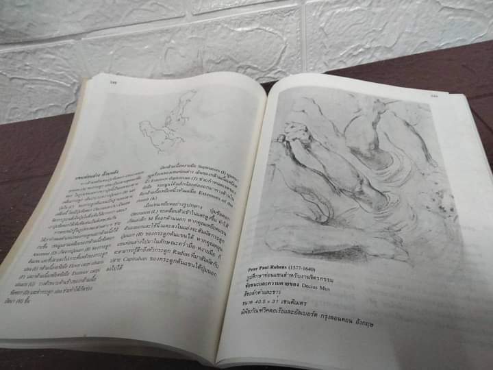 บทเรียนกายวิภาคจากศิลปินเอก