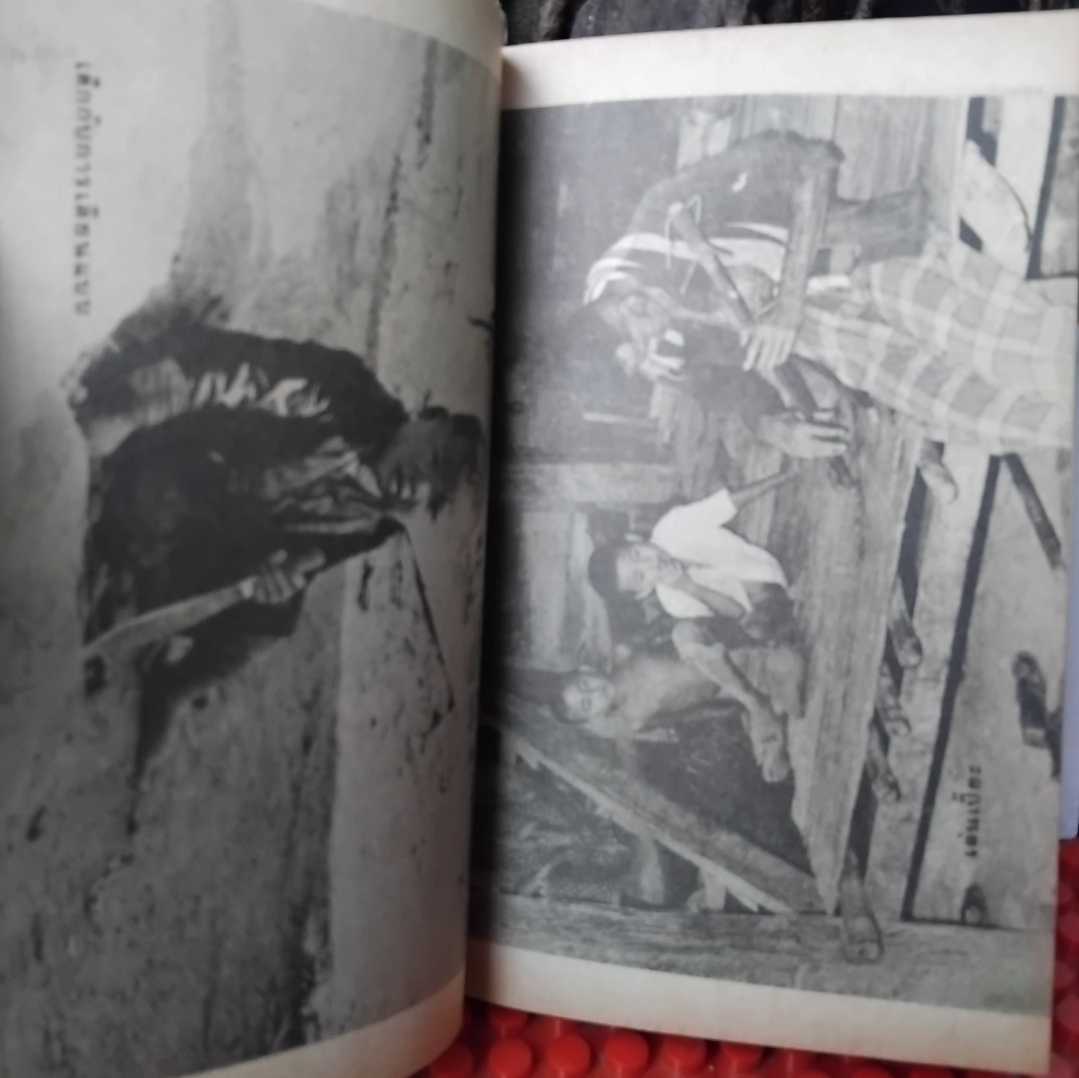 การละเล่นของเด็กลานนาไทยในอดีต โดย สุรสิงห์สำรวม ฉิมพระเนาว์ แนวคิดการมองโลกและปรับตัวของเด็ก เทียบมือ1