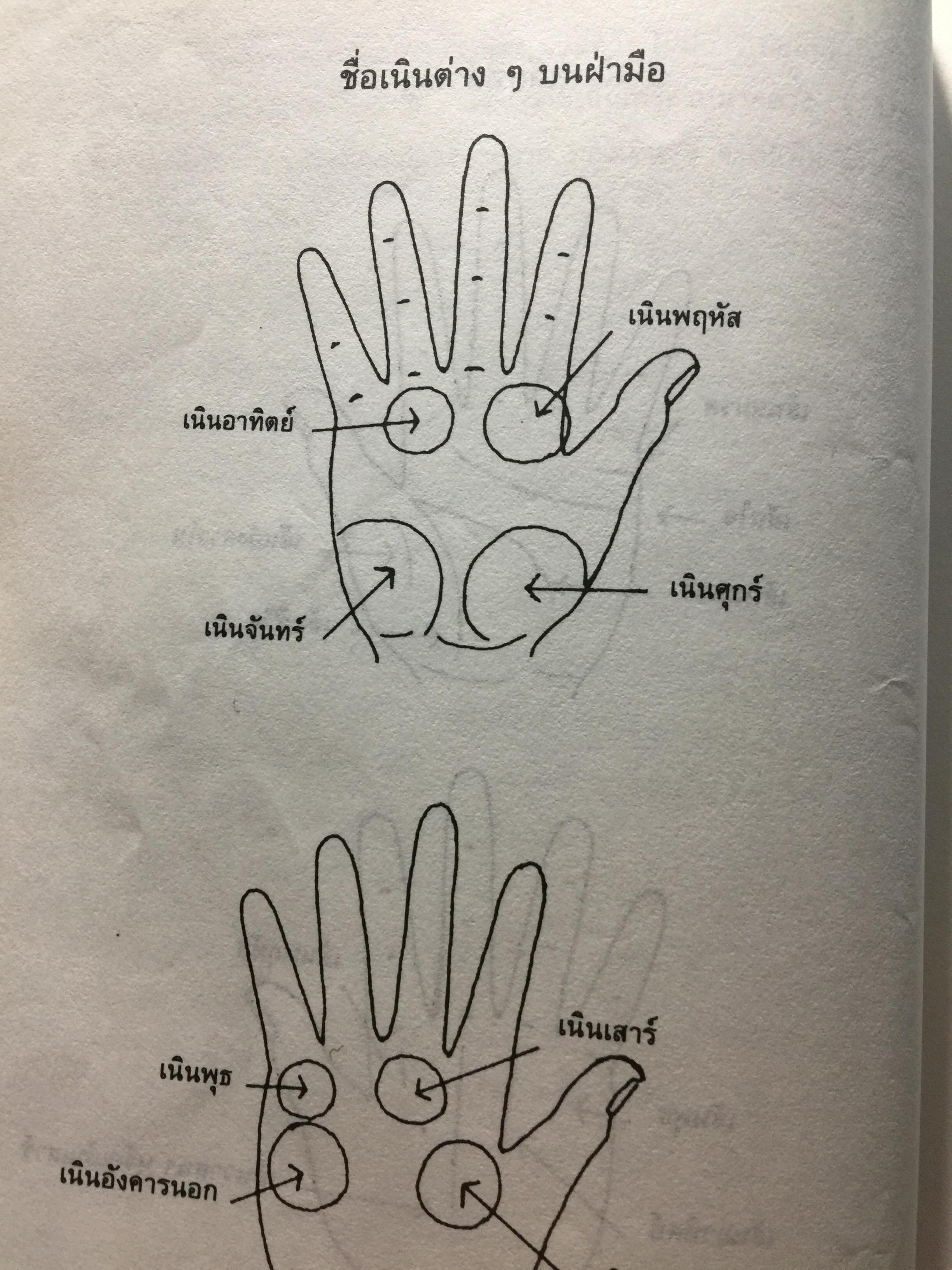 ไขปริศนาชีวิต ลายมือคนดัง เรียนรู้เรื่องราวชีล่วงหน้าจากลิขิตฝ่ามือคนดัง ผู้เขียน เบญจะ ขินปัญชนะ 800 กรัม