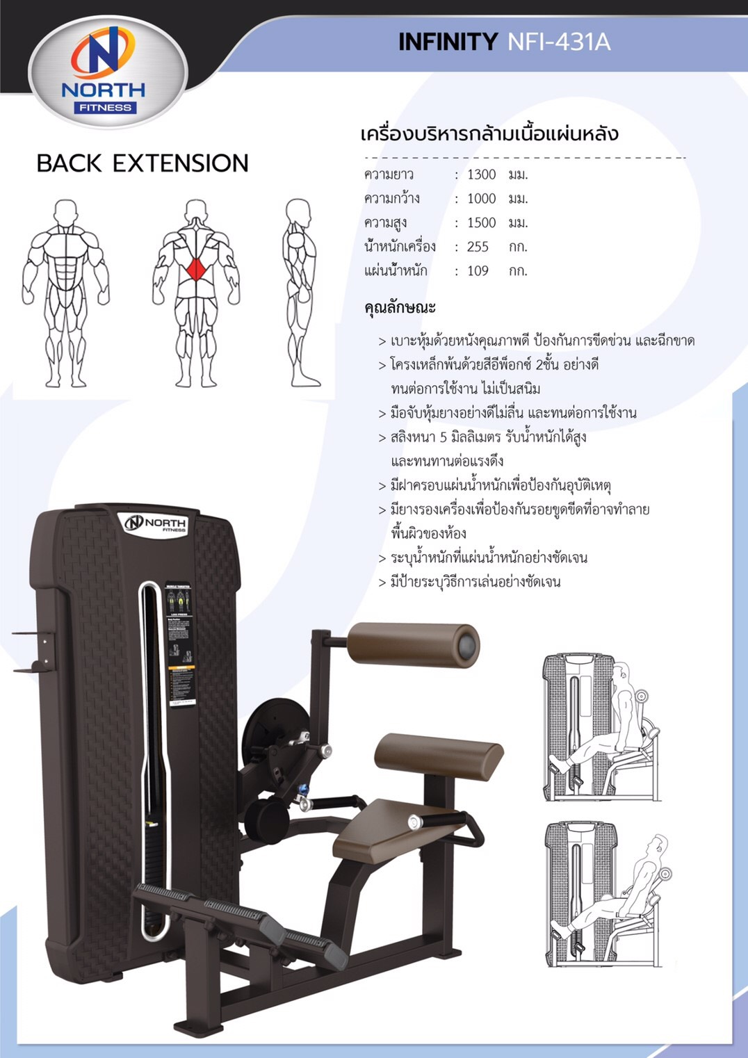 Back Extension