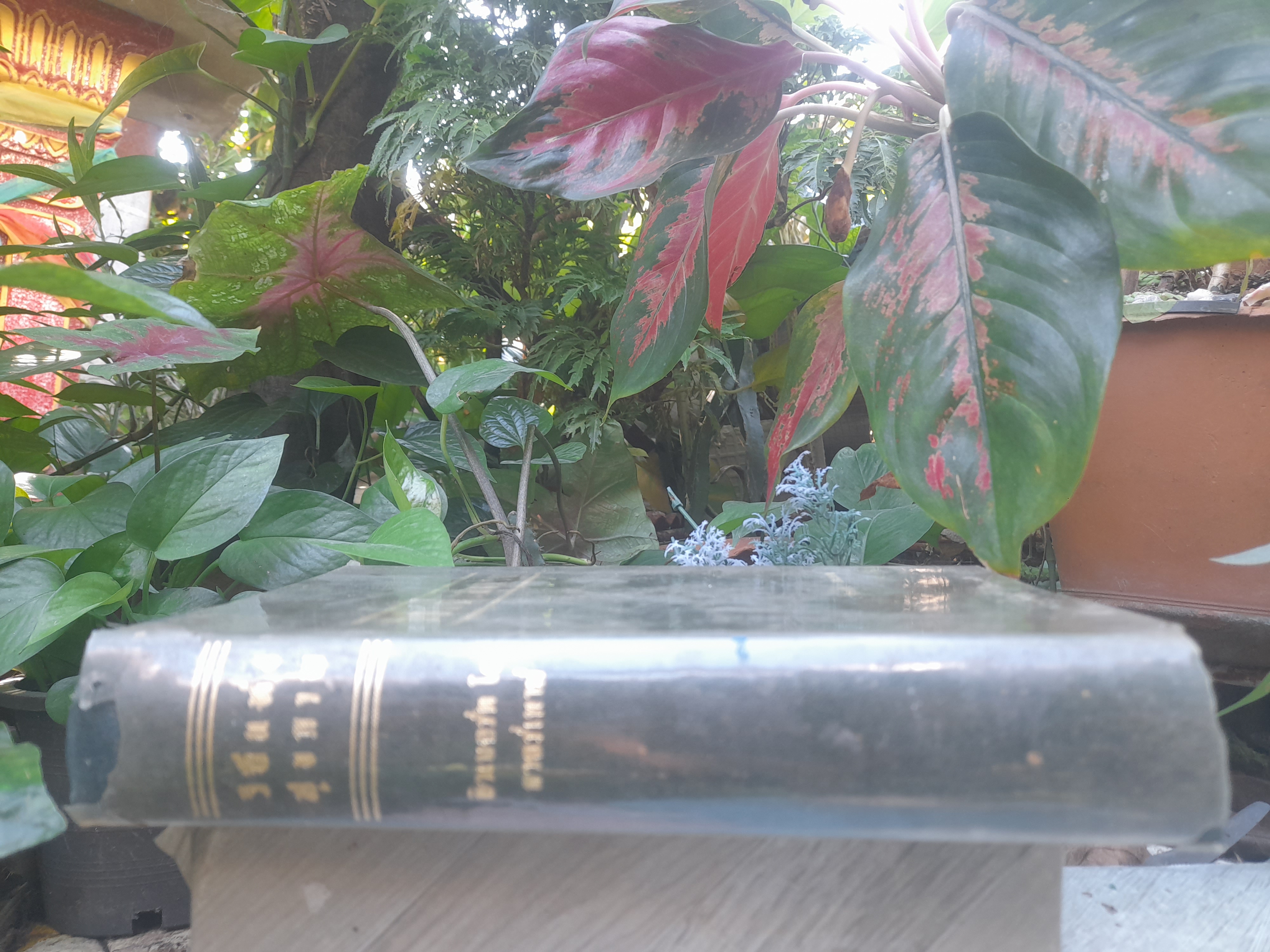 วิถีแห่งสุขภาพ โดย ฮิวเบอร์ต โอ. สวอร์เทาท์ ว่าด้วยปัญหาสุขภาพที่พึงรู้ ใช้ศัพท์ทั่วไปเข้าใจง่าย เพื่อสุขภาพอนามัยที่ดี