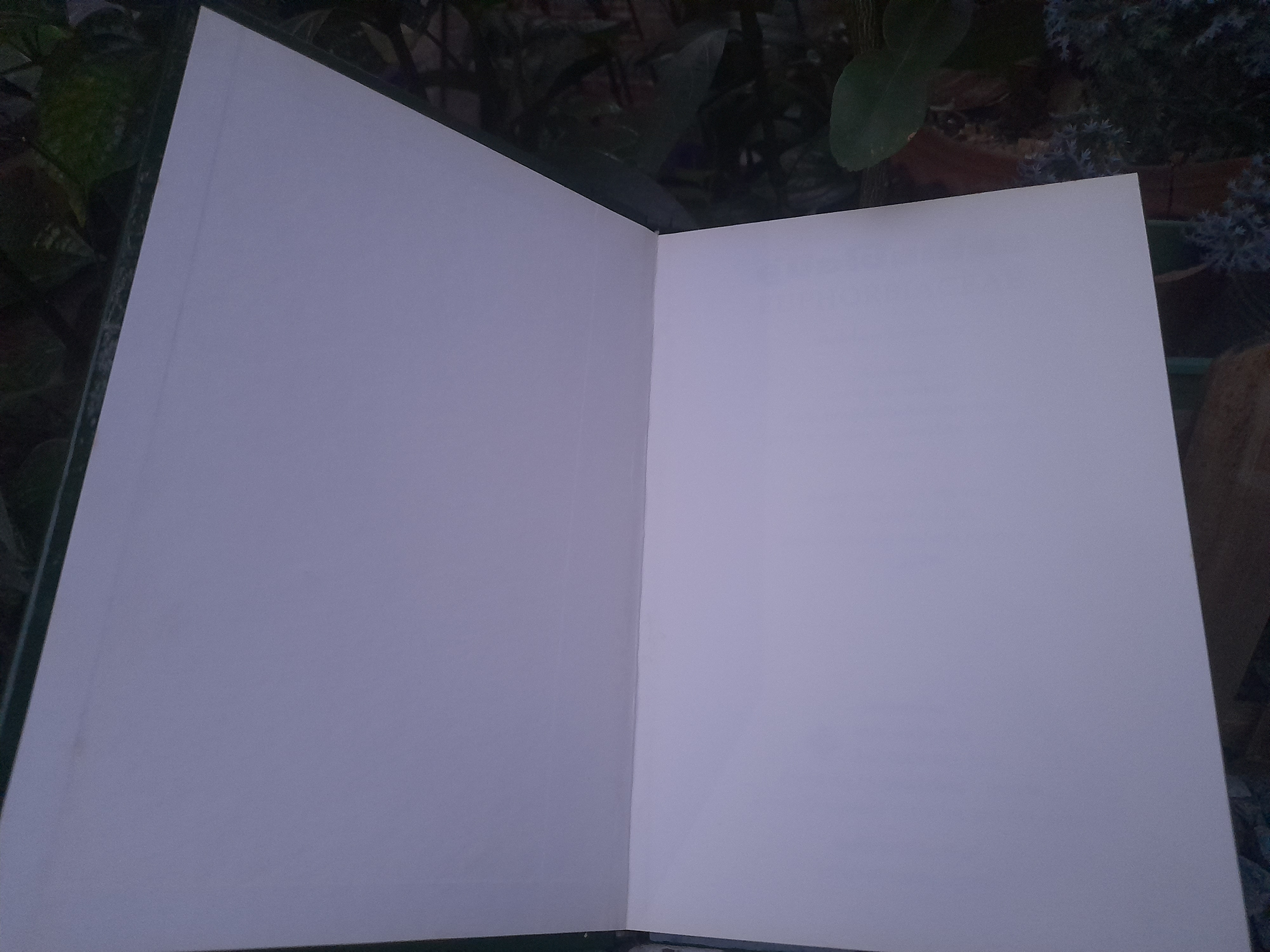 คู่มือโป๊ยเซียน EUPHORBIACEAE โดย : ชนะ วงศ์สุวรรณ