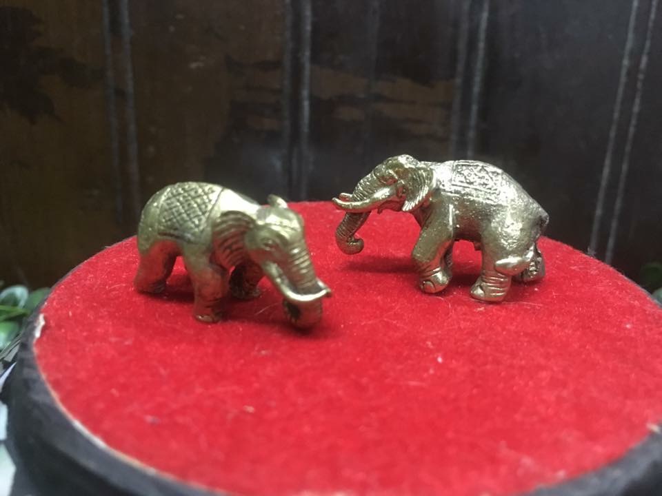 ช้างจิ๋ว เนื้อทองเหลือง งายาว