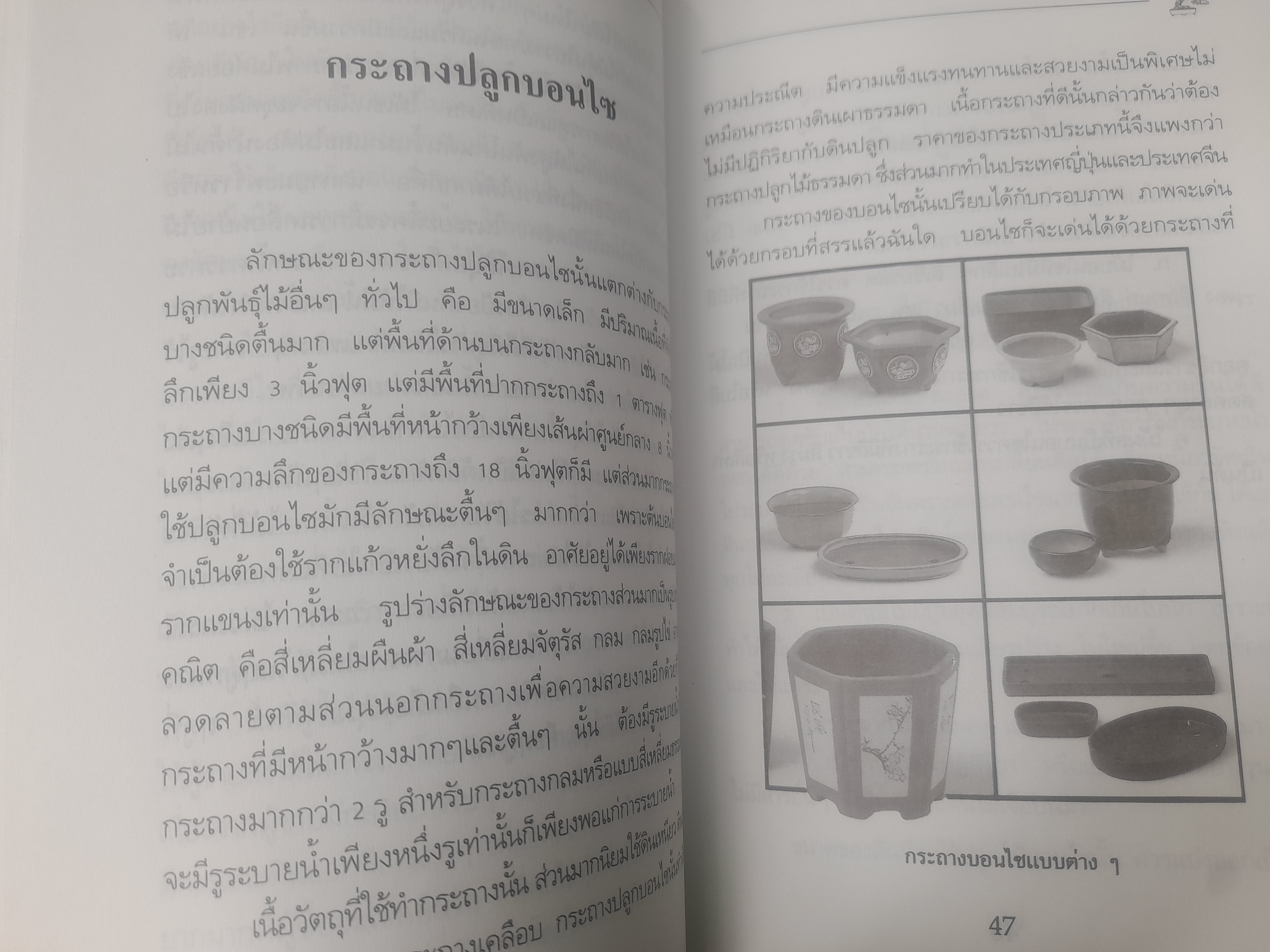 คู่มือการปลูกเลี้ยงบอนไซ โดย สมาน ศรีปราโมช ครบทุกเรื่องเกี่ยวกับบอนไซ