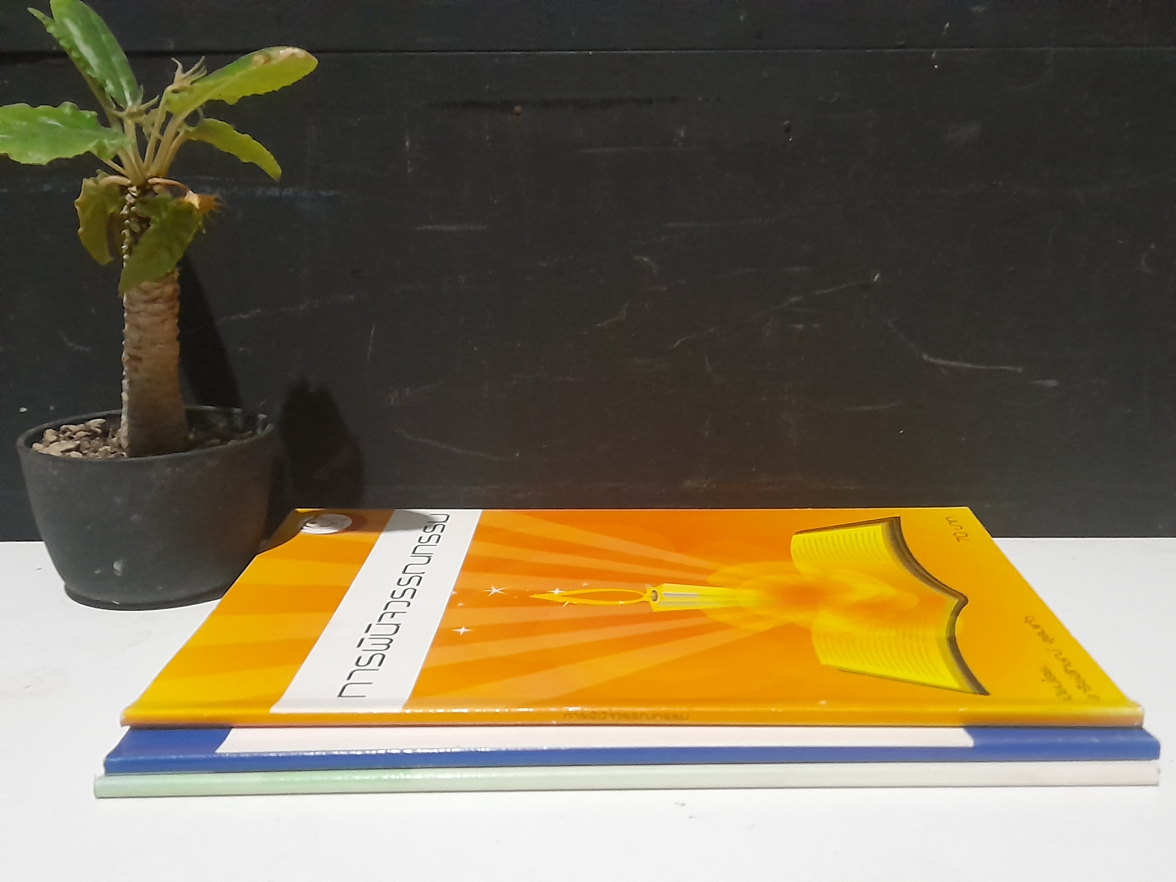 หนังสือความรู้ภาษาไทย โดย อารีย์ลักษณ์ อุดมแก้ว หนังสือมือหนึ่ง มีหลายชุดครับผม