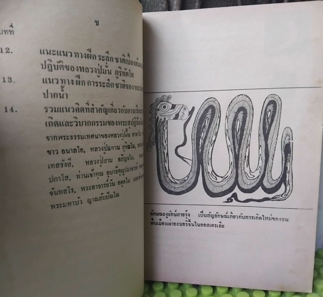 ✅️อ่านหรือสอบถามสภาพหนังสือก่อนตัดสินใจซื้อ ตายแล้วเกิดใหม่กับการระลึกชาติ โดย บรรยง บุญฤทธิ์ พิมพ์แรก ปี29