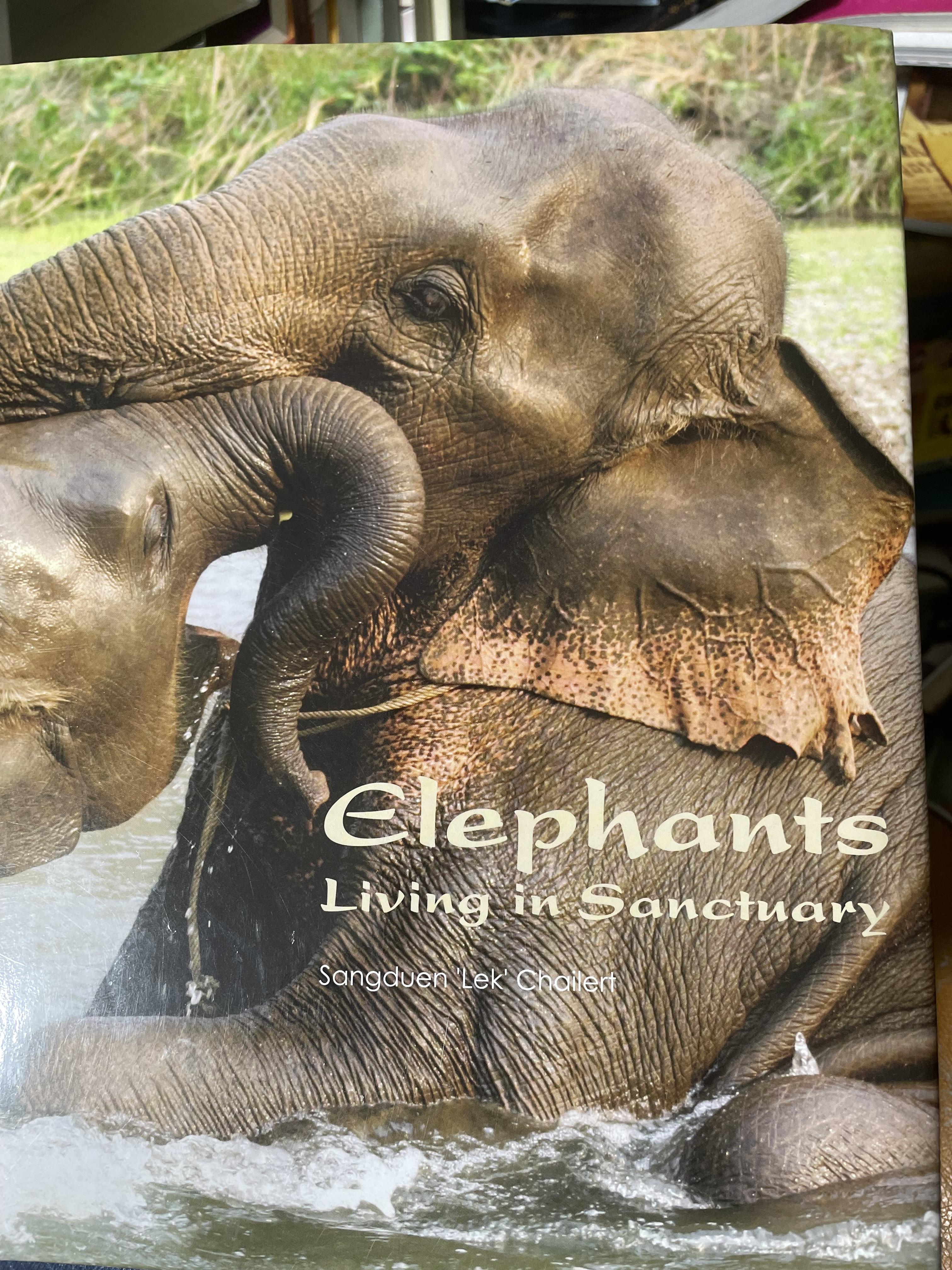 Elephants Living in Sanctuary 3 กก.