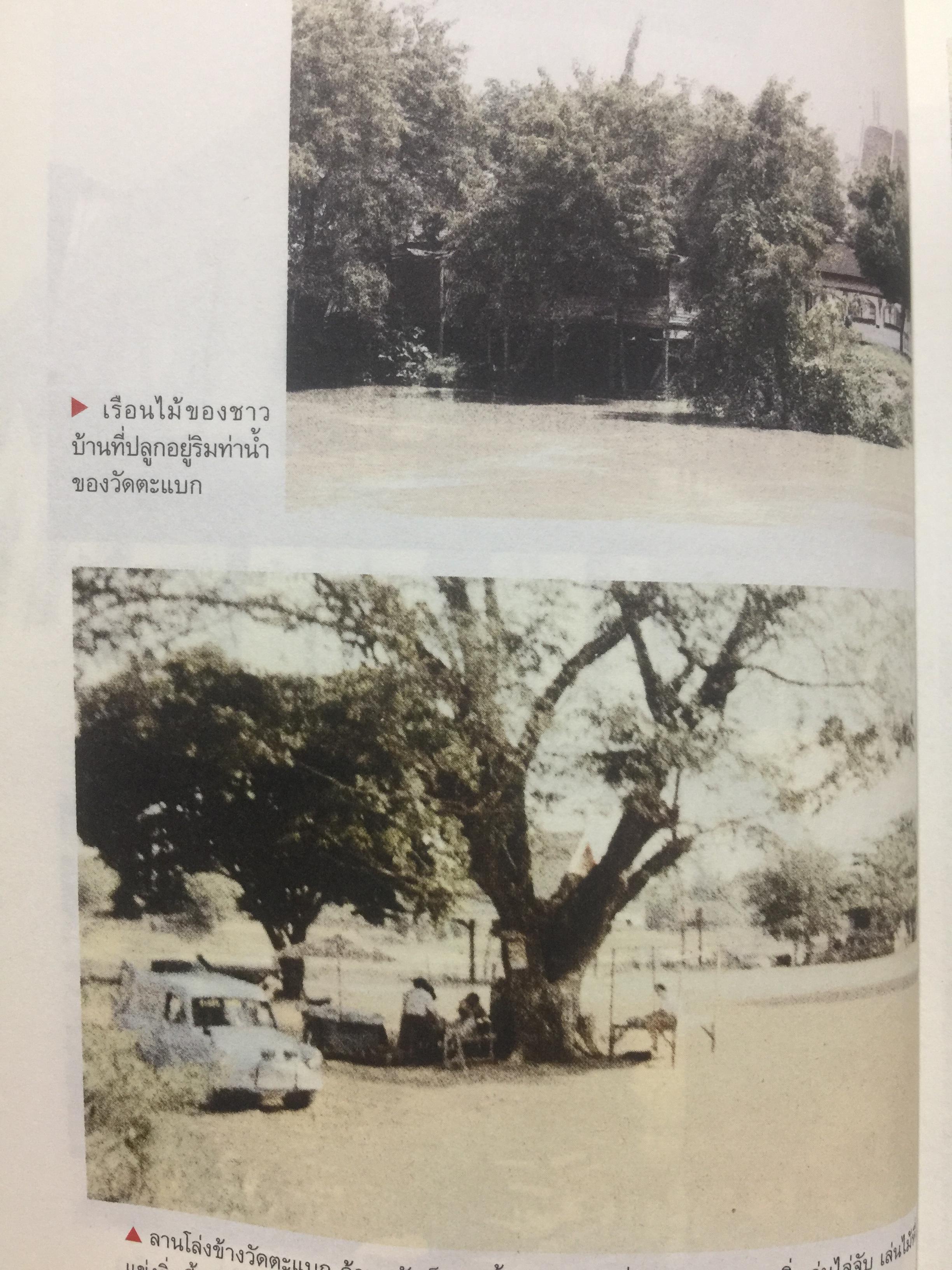 ไอ้เพ้ง. จากลูกจับกัง สู่รัฐมนตรี. พงษ์ศักดิ์ รักตพงศ์ไพศาล. 0 กก.