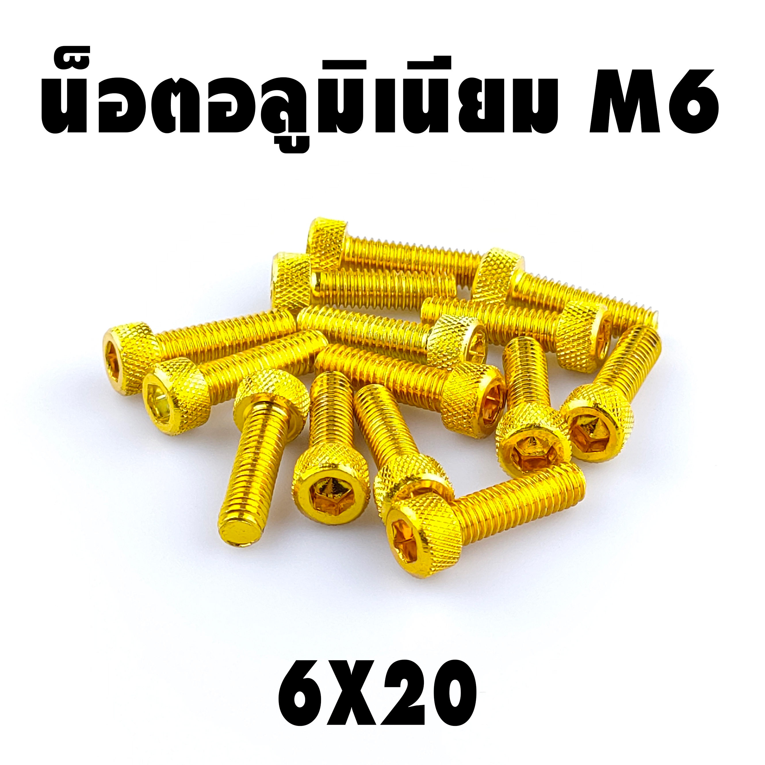 น็อตแต่ง อลูมิเนียม 6*20 (เบอร์ 10) ชุดละ 10 ตัว ราคา 100 บาท