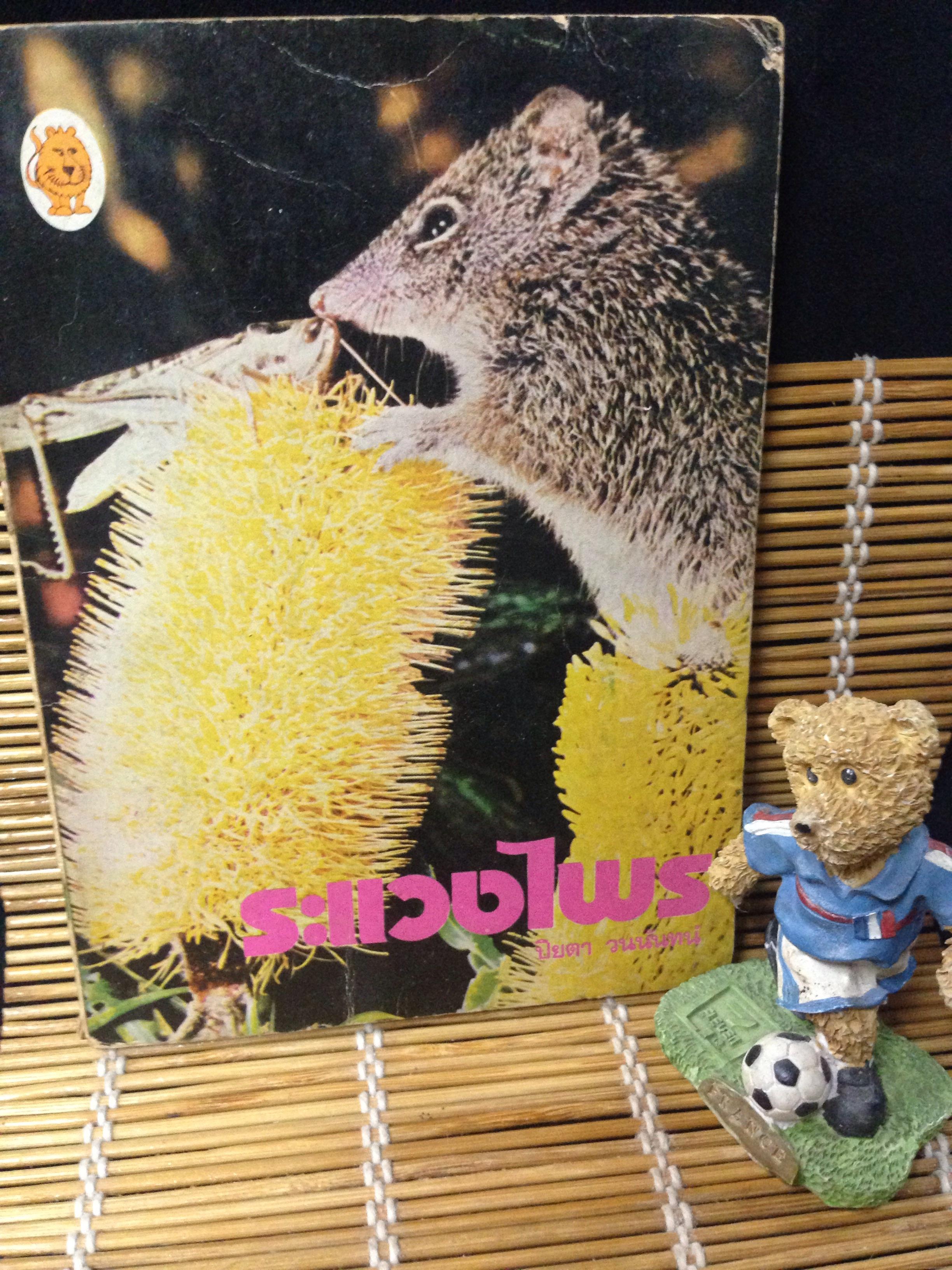 ระแวงไพร (Walkabout)