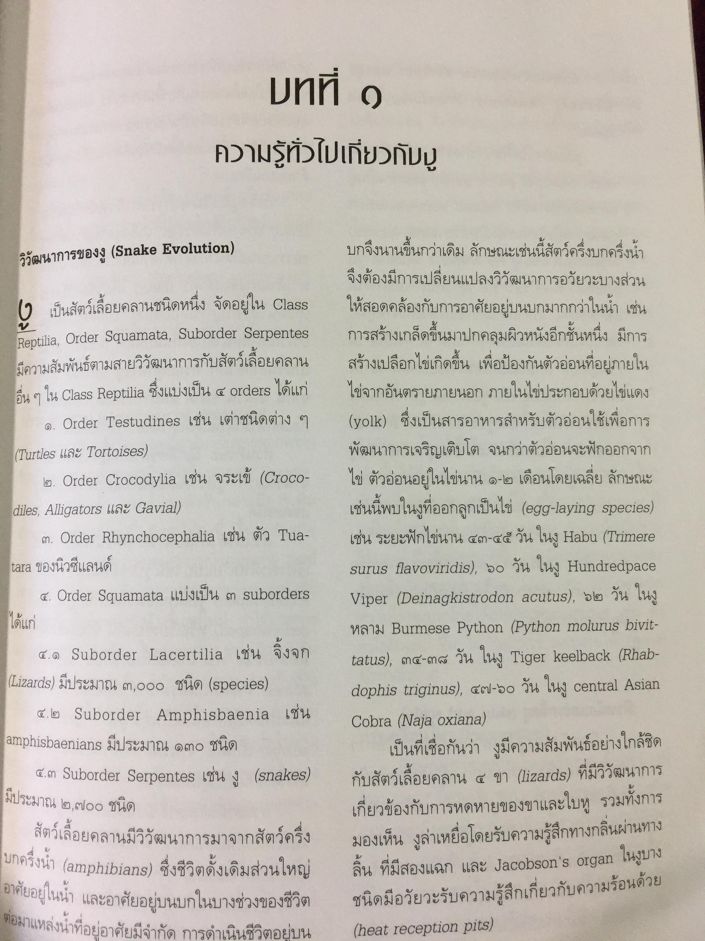 งูพิษ ในประเทศไทย ทุกแง่มุมชีวิตและลักษณะนิสัยของงูพิษ โดยผู้เชี่ยวชาญเรื่องงูมากที่สุดในประเทศไทยผู้เขียน ไพบูลย์ จินตกุล 0 กก.
