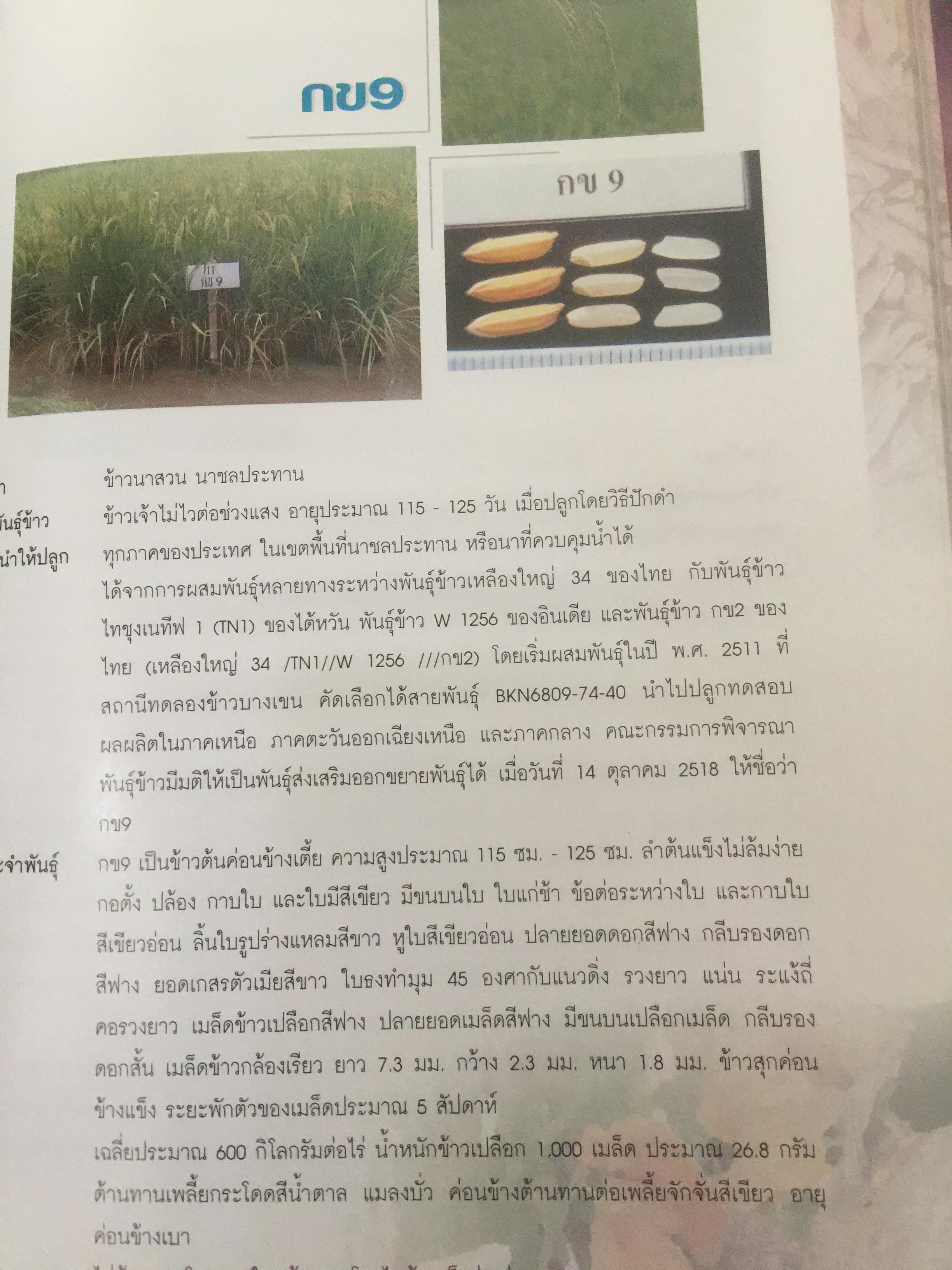 วิวัฒนาการพันธุ์ข้าวไทย. สถาบันวิจัยข้าวไทย กรมวิชาการเกษตร 0 กก.