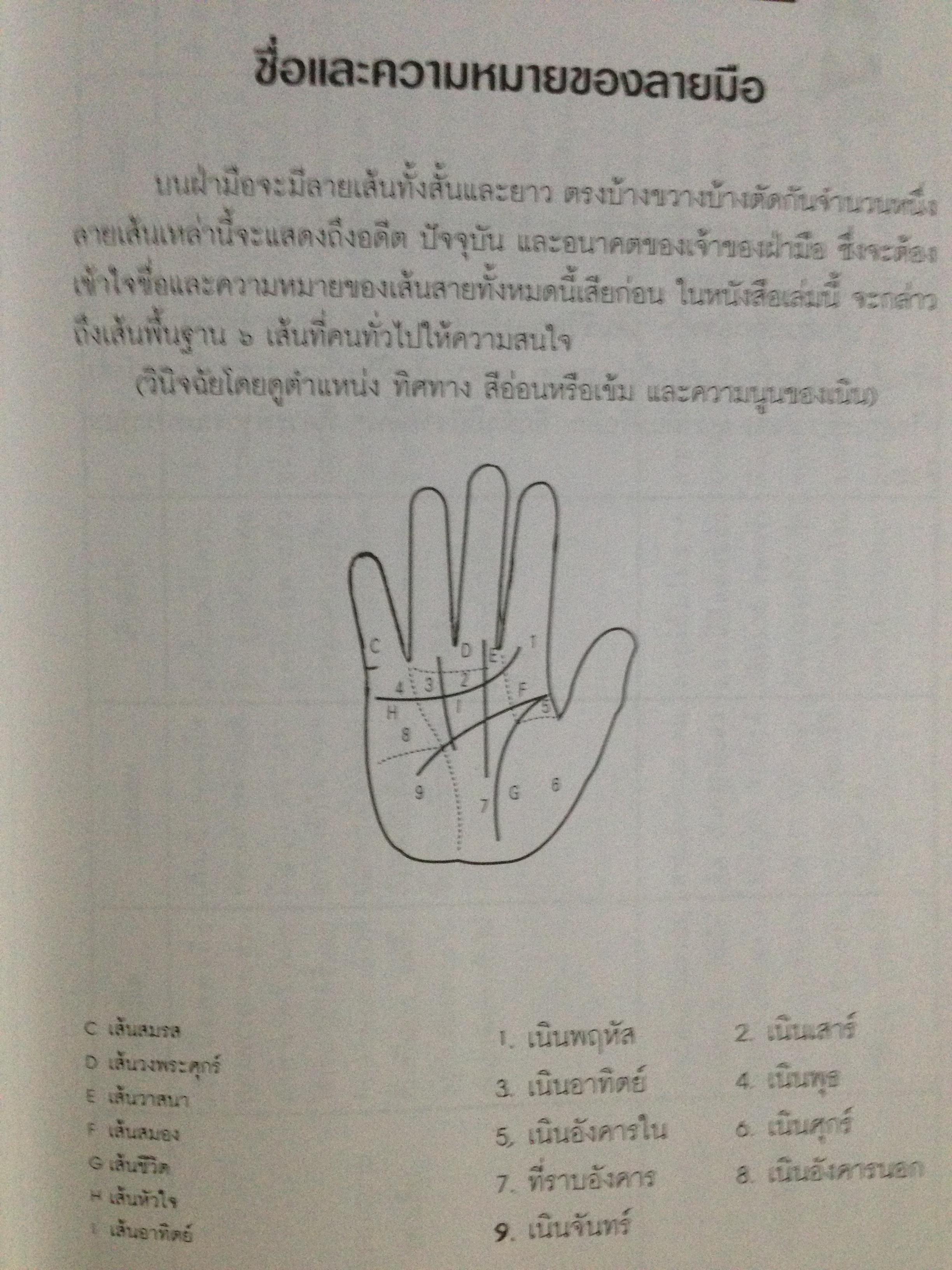 1)ลายมือนำโชค ความรู้ใหม่ในหัตถ์ลักษณ์ศาสตร์. 2) เส้นลายมือสื่อใจ. 3) การวิเคราะห์ลายมือแบบเบญจลักษณ์ 4) หลักการวิเคราะห์ ลักษณะลายมือ 0 กก.