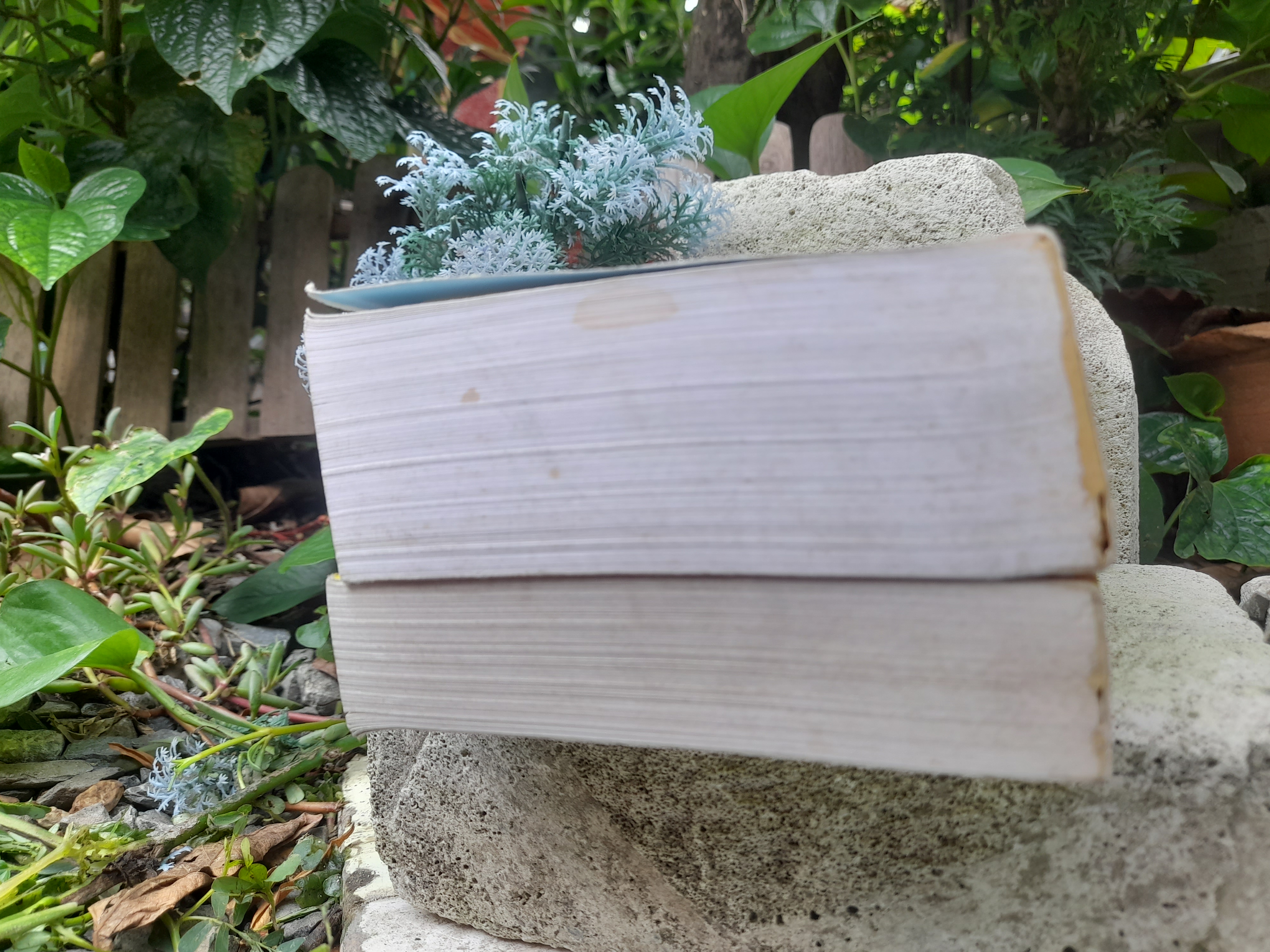 หนังสือคำปราศรัย วาทศิลป์ คำคมขำและปรัชญาชีวิต โดย ไพฑูรย์ วงศ์วานิช