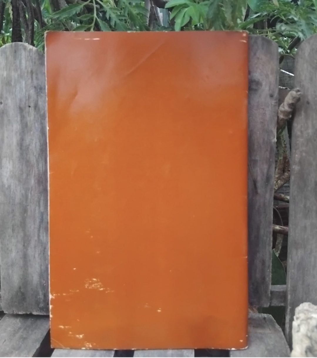 ประวัติศาสตร์จีน โดย เชน ชิ ปิง และ เชน ซิ ฟู แปลโดย ศักดิ์ศรี แย้มนัดดา ปี 2506