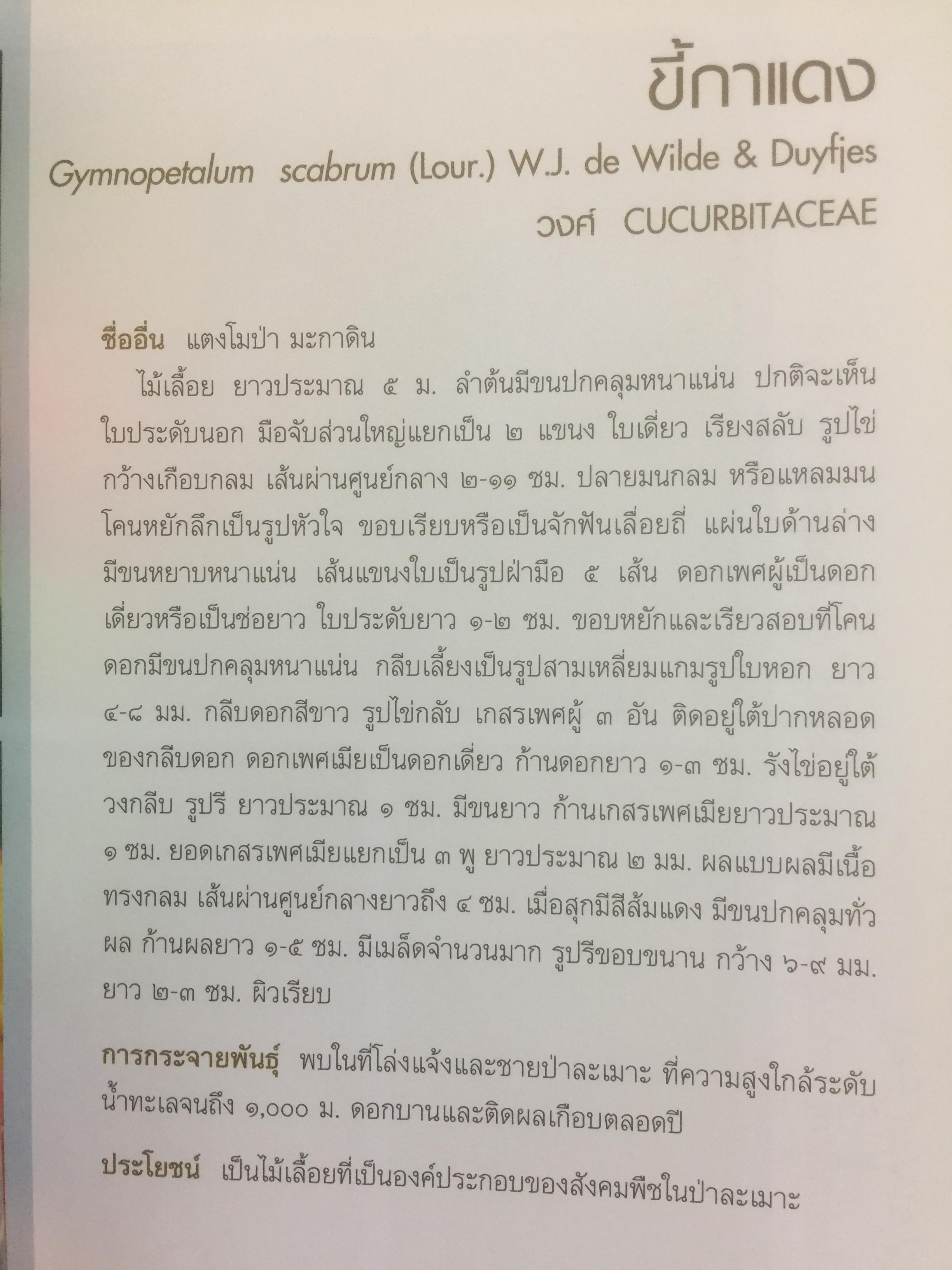พรรณไม้พื้นเมืองไทย จากเขาใหญ่สู่ลำน้ำโขง ผู้จัดทำ กรมวิชาการเกษตร 0 กก.