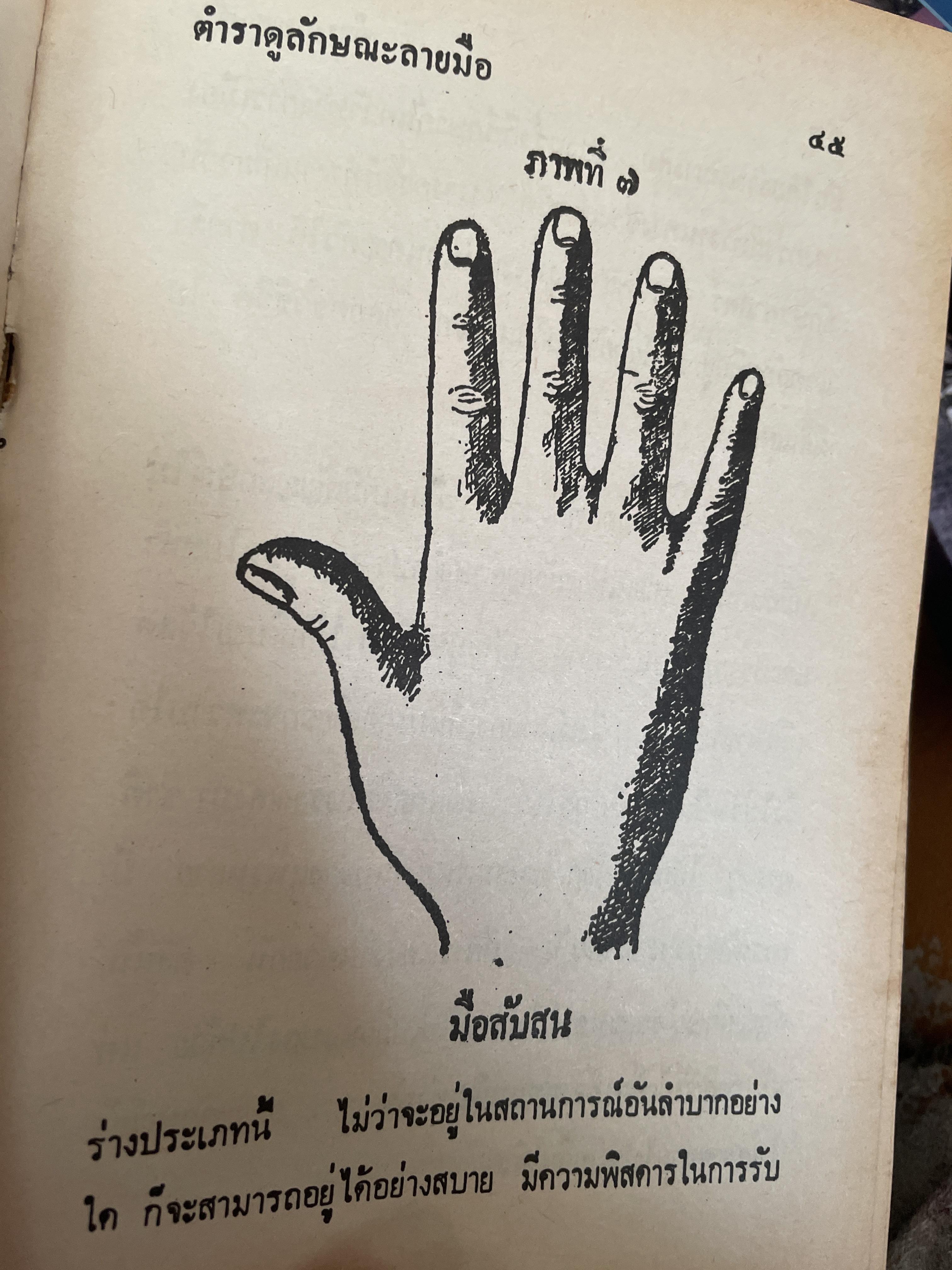 ตำราดูลักษณะลายมือ ผู้เชียน จำลอง พิศนาคะ 800 กรัม
