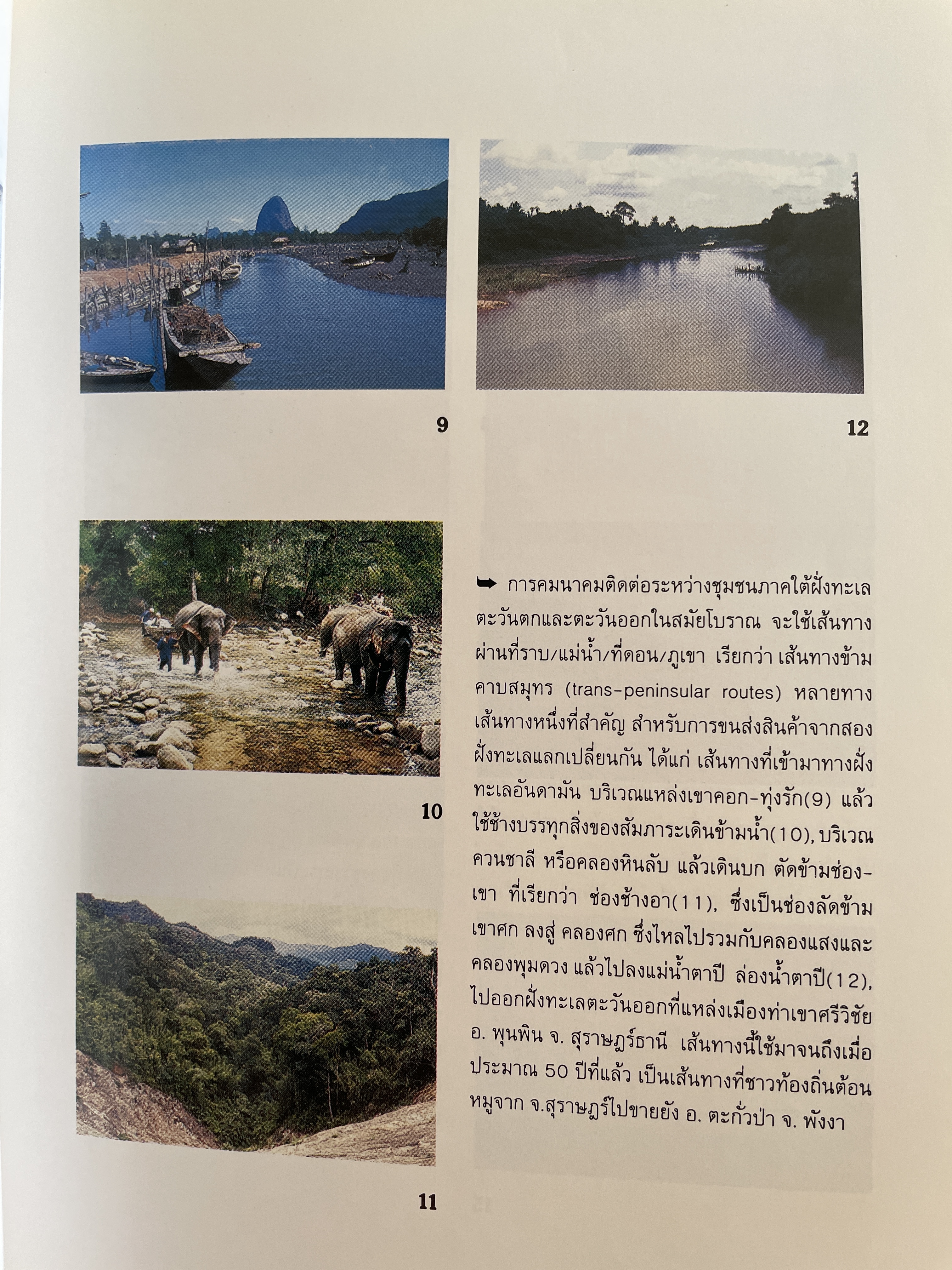 สายรากภาคใต้ ภูมิลักษณ์ รูปลักษณ์ จิตลักษณ์ ผู้เขียน อมรา ศรีสุขาติ 0 กก.