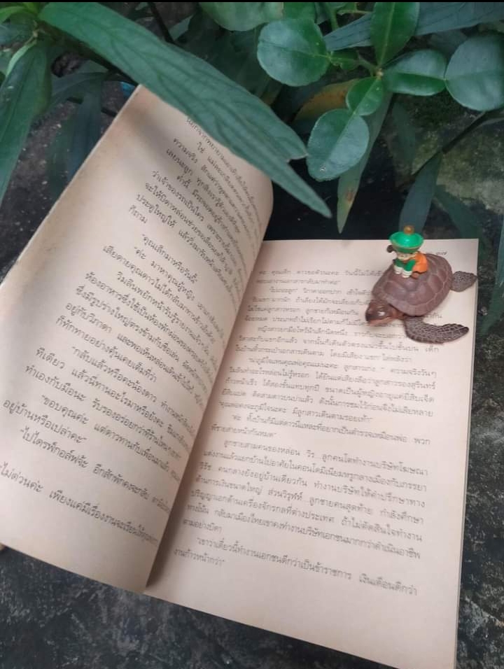 รหัสหัวใจ โดย กิ่งฉัตร