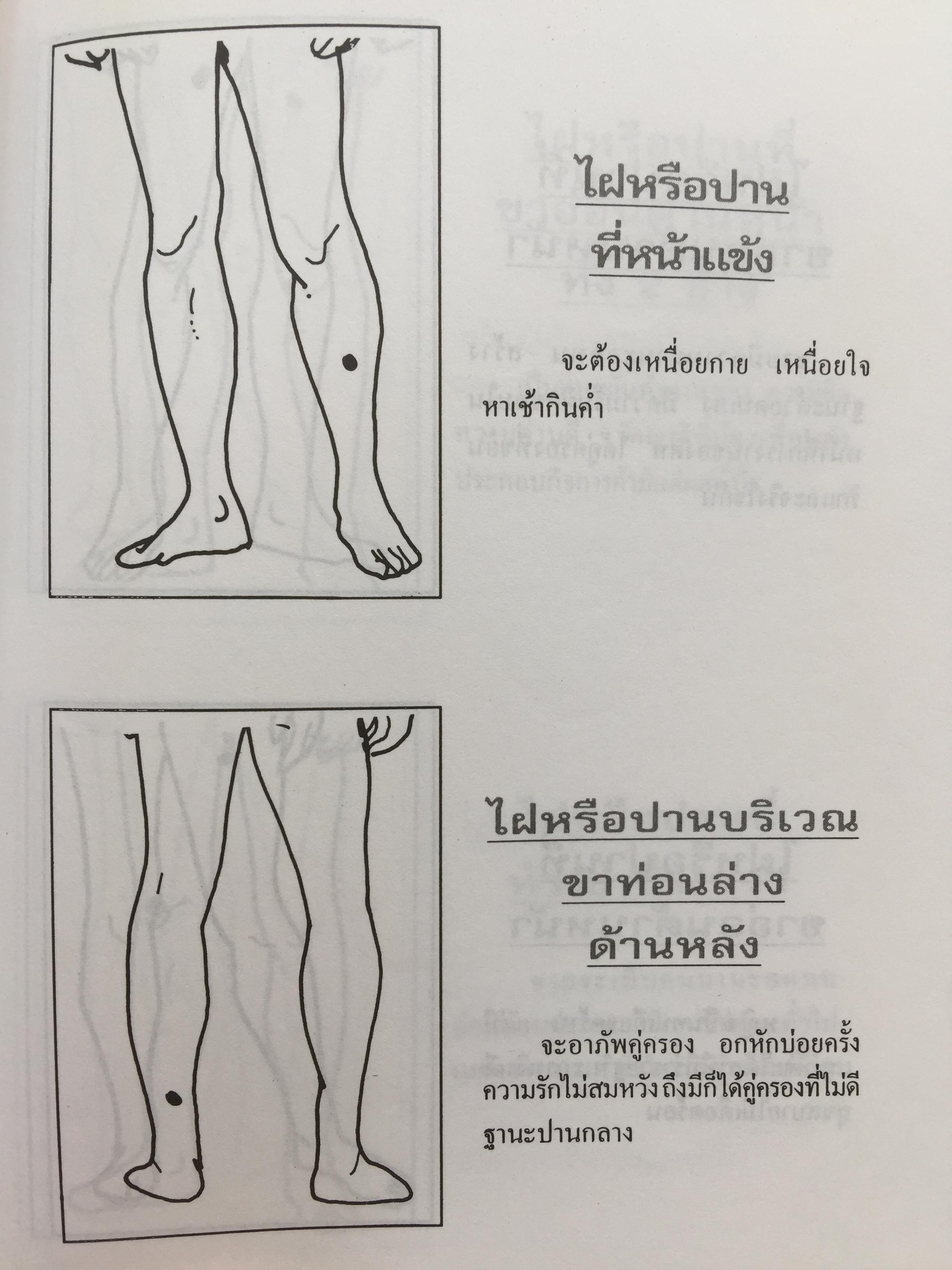 1)ลายมือคือตัวแทนของคุณ. ลักษณ์ เรขานิเทศ 2) แนะลายเส้นบนฝ่ามือ เสน่ห์ ชูกุล. 3)โหรใหญ่คุยเฟื่องเรื่องลายมือ บัญชา เลิศธนู 4) ทำนายลายมือ ทำนายปาน-ไฝ ทายใจ ทำนายอนาคต. ส.วิษณุรักษ์ 0 กก.