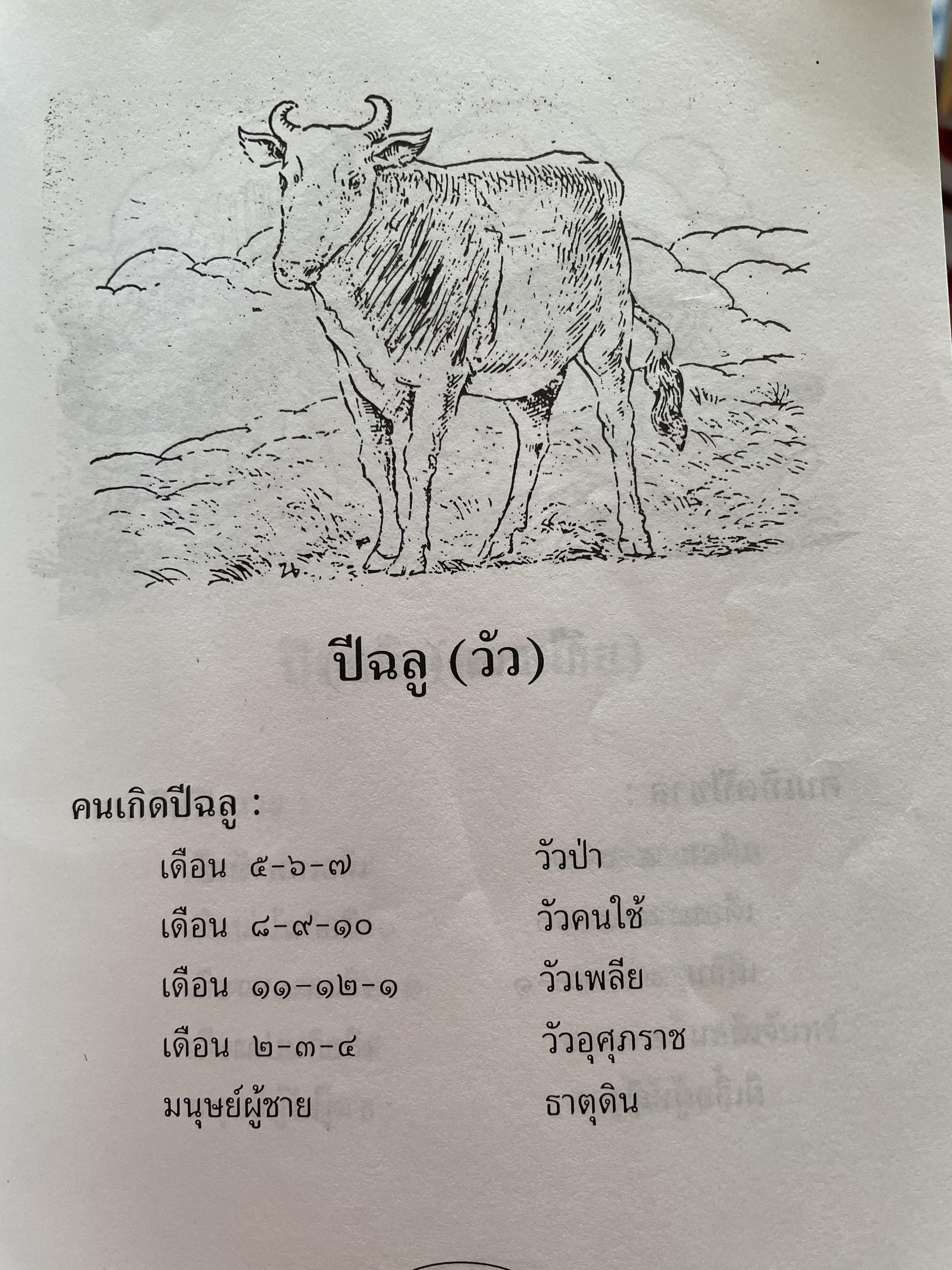 โหรหลวงประจำบ้าน ทำนายชะตาชีวิตแบบ 12 ราศี ดูเนื้อคู่ ลักษณะและอาชีพ ฯลฯ 800 กรัม