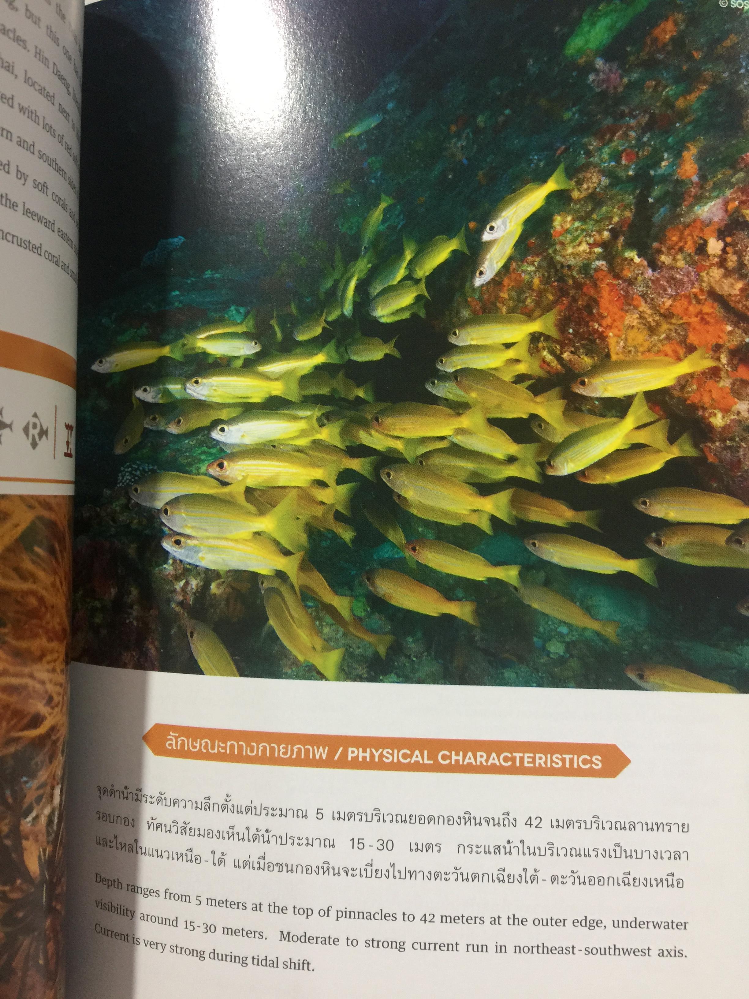 แหล่งดำน้ำที่สำคัญในประเทศไทย. DIVING ATTRACTIONS IN THAILAND 0 กก.