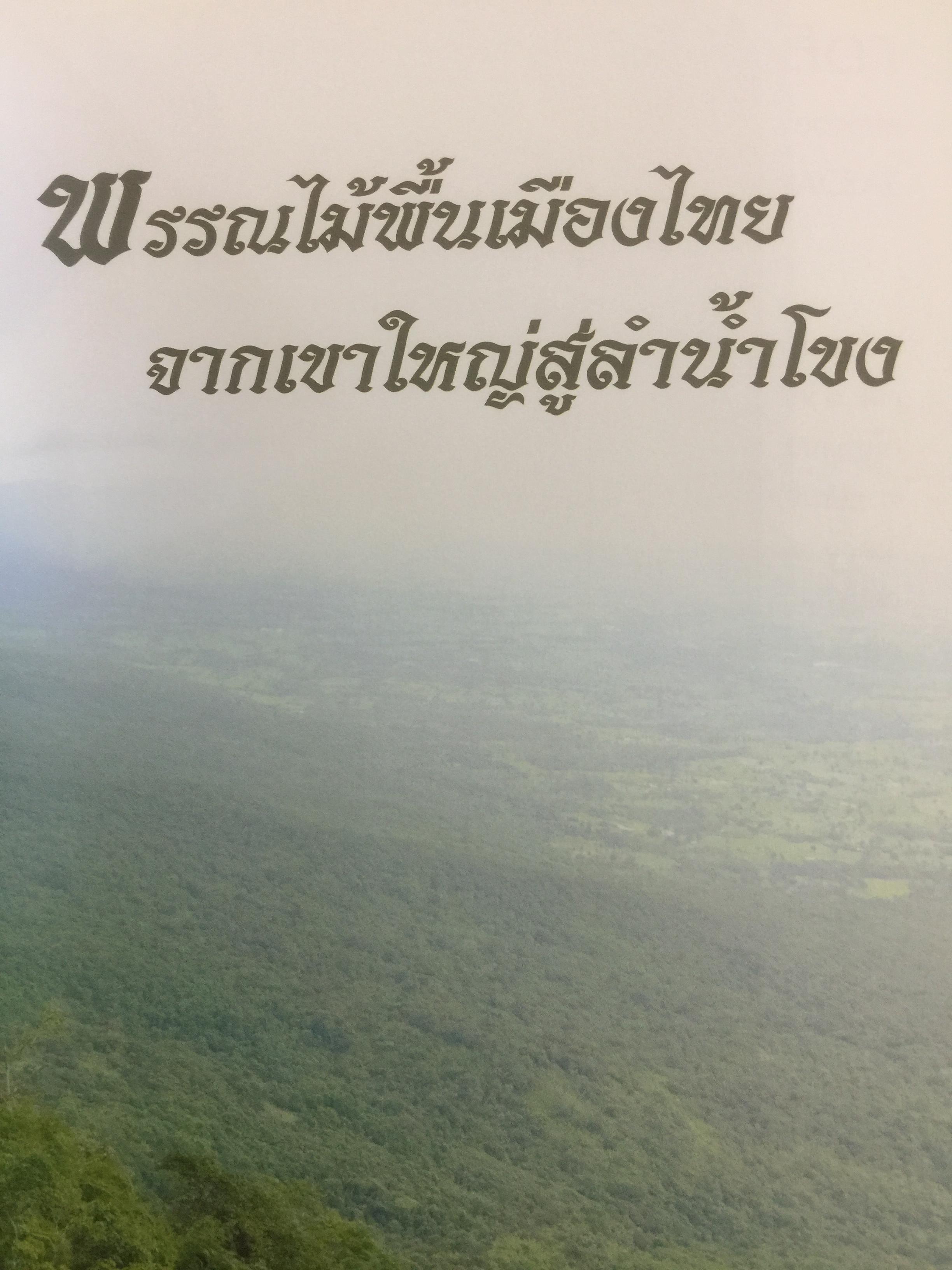 พรรณไม้พื้นเมืองไทย จากเขาใหญ่สู่ลำน้ำโขง ผู้จัดทำ กรมวิชาการเกษตร 0 กก.