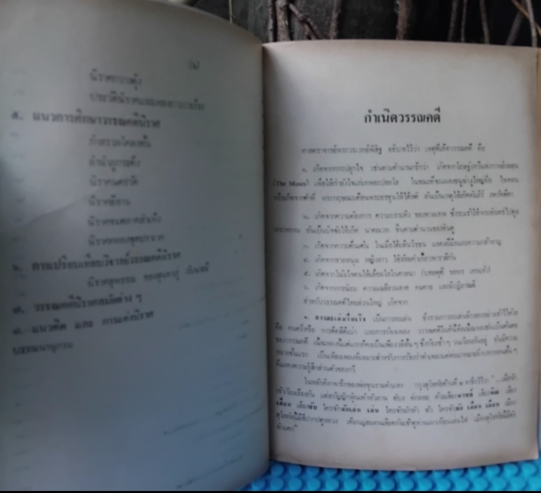 วิชาภาษาไทย243 วรรณคดีนิราศ โดย เบญจมาศ พลอินทร์ และ วารี ศรีมาโนชน์ มือ1 สต็อกโกดังหนังสือ