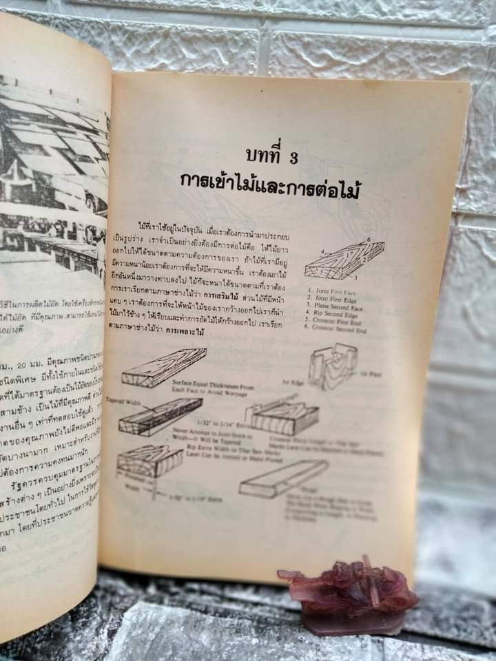 เทคโนโลยีในงานไม้ โดย เฉลียว โพธิพิรุฬห์