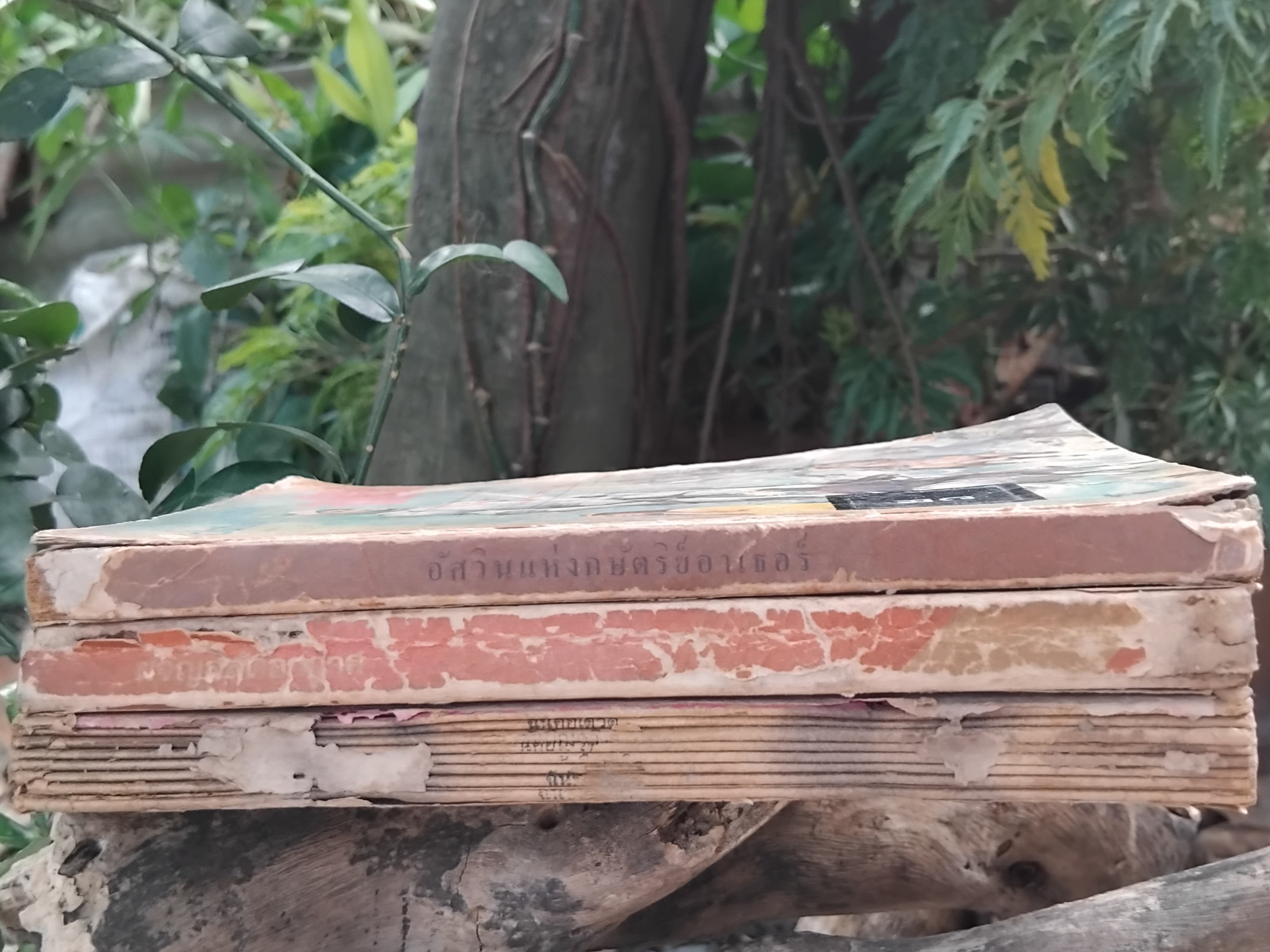 รวมหนังสือแนววรรณกรรมเยาวชนแปล ของ ท.ว.พ. ปกเก่า น่าอ่าน น่าสะสมครับ