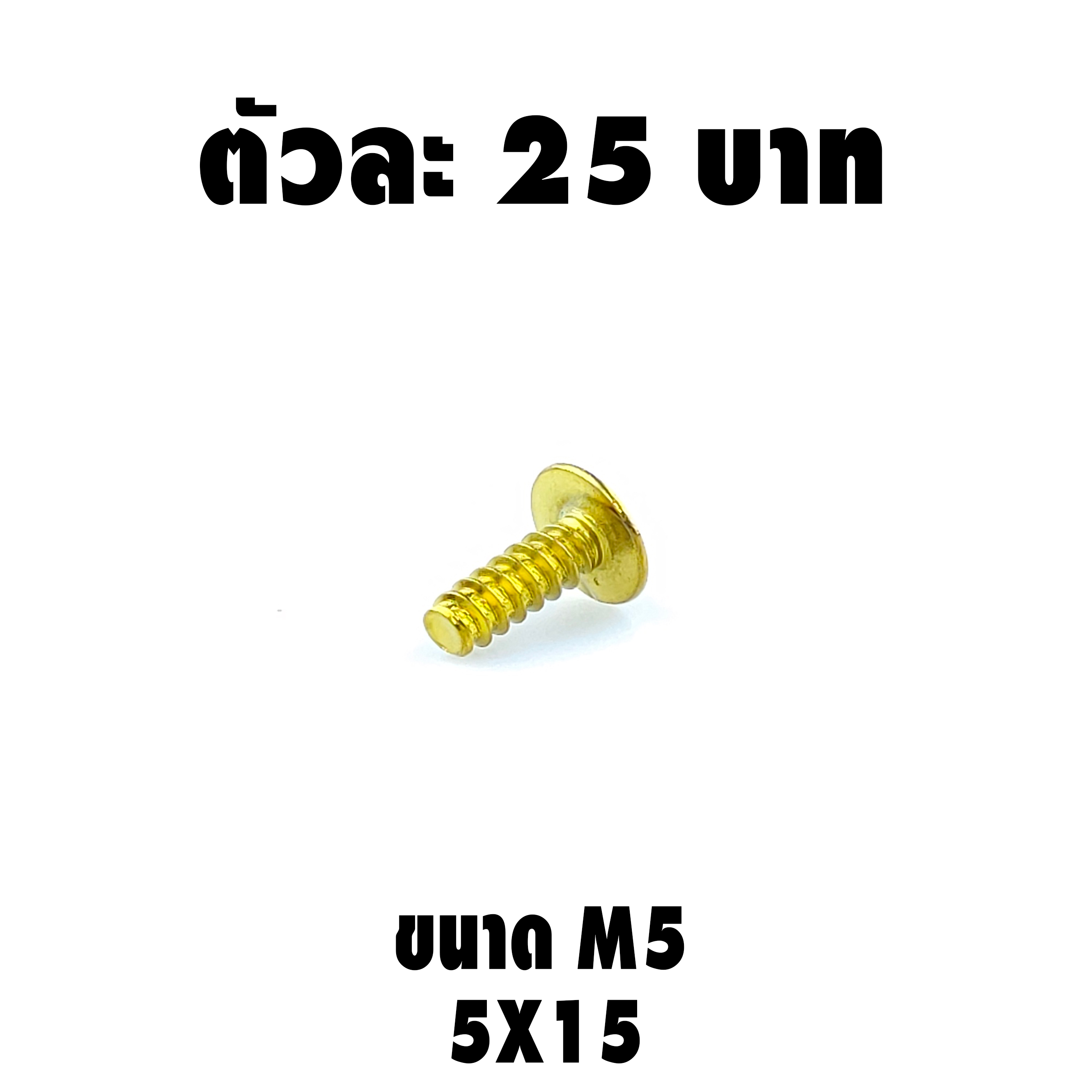 น็อตเกลียวปล่อย (เบอร์8 M5X15)