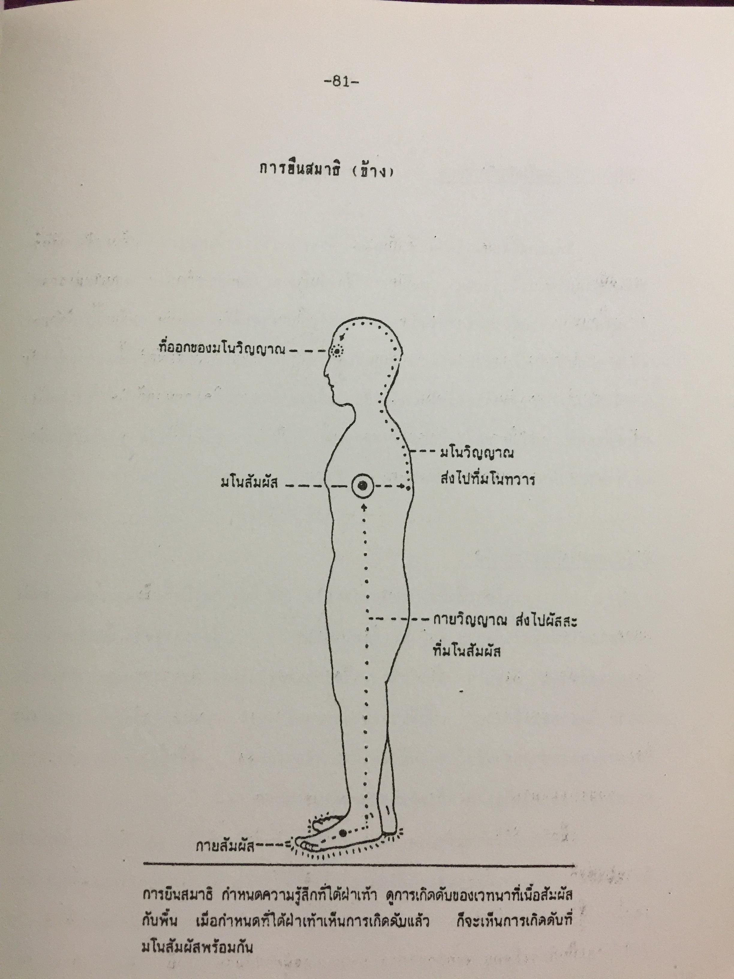 การฝึกพลังจิต. MENTAL PRACTICE. รวบรวมโดย รศ.ดร,นภพร ทัศนัยนา. โครงการการศึกษาต่อเนื่อง ิ มหาวิทยาลัยมหิดล 2538 0 กก.