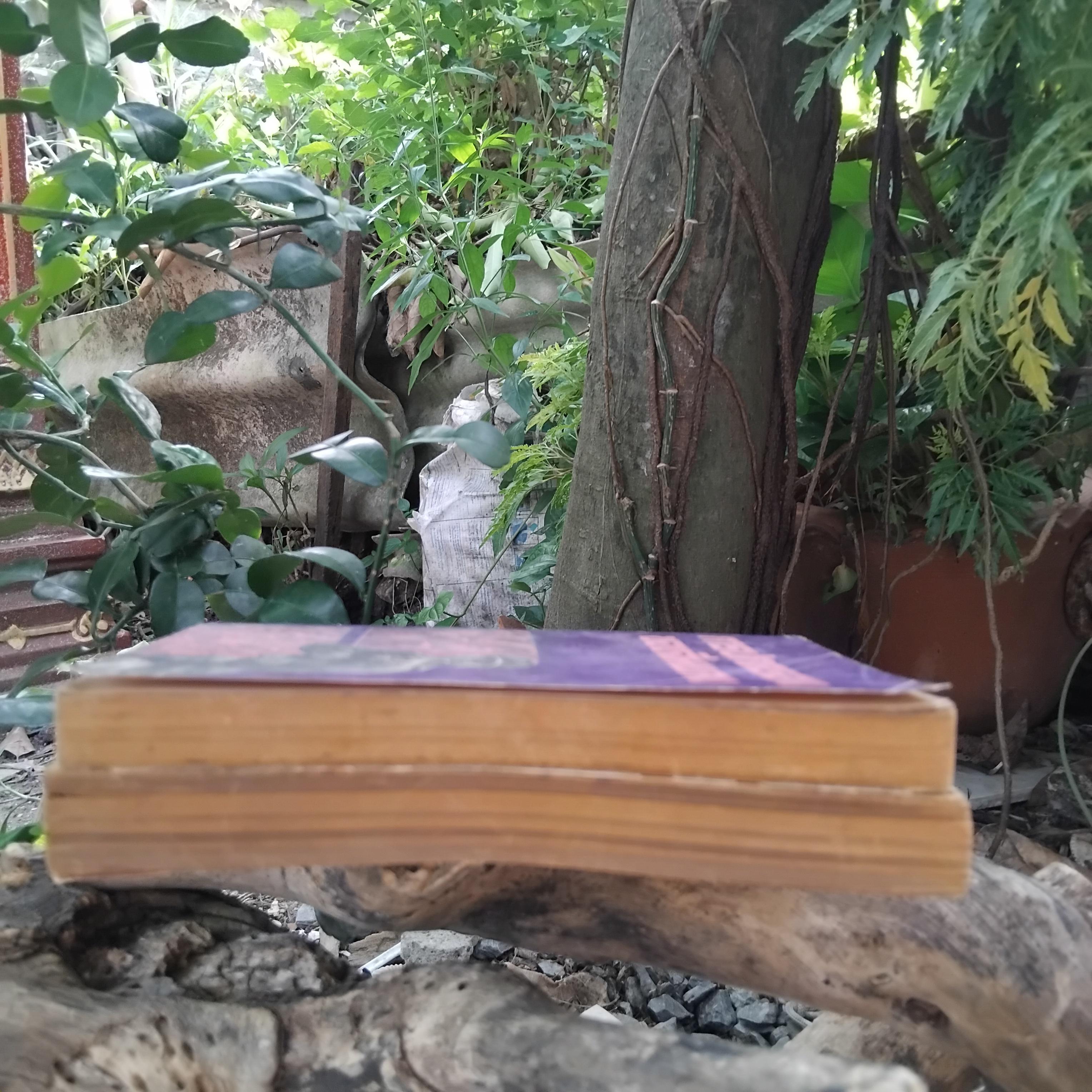 หนังสือต้องห้าม ยุคหลัง 6ต.ค.19 ปรัชญานิพนธ์ประธานเหมาเจ๋อตง กับ การปกครองของจีนแดง