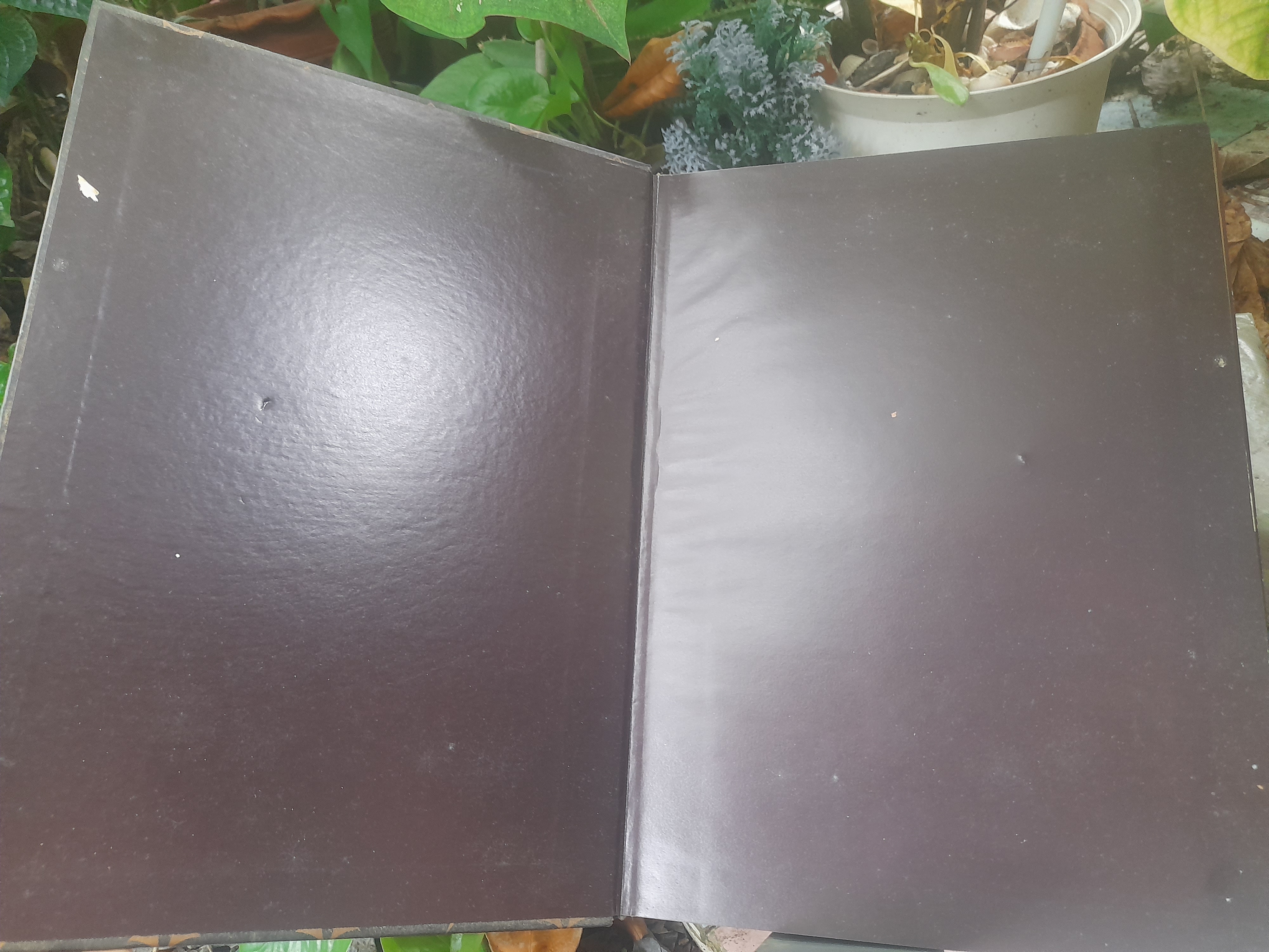 หนังสือ ครบเครื่องเรื่องพระเทวราชโพธิสัตว์จตุคาม-รามเทพ หนังสือหายาก น่าเก็บครับ