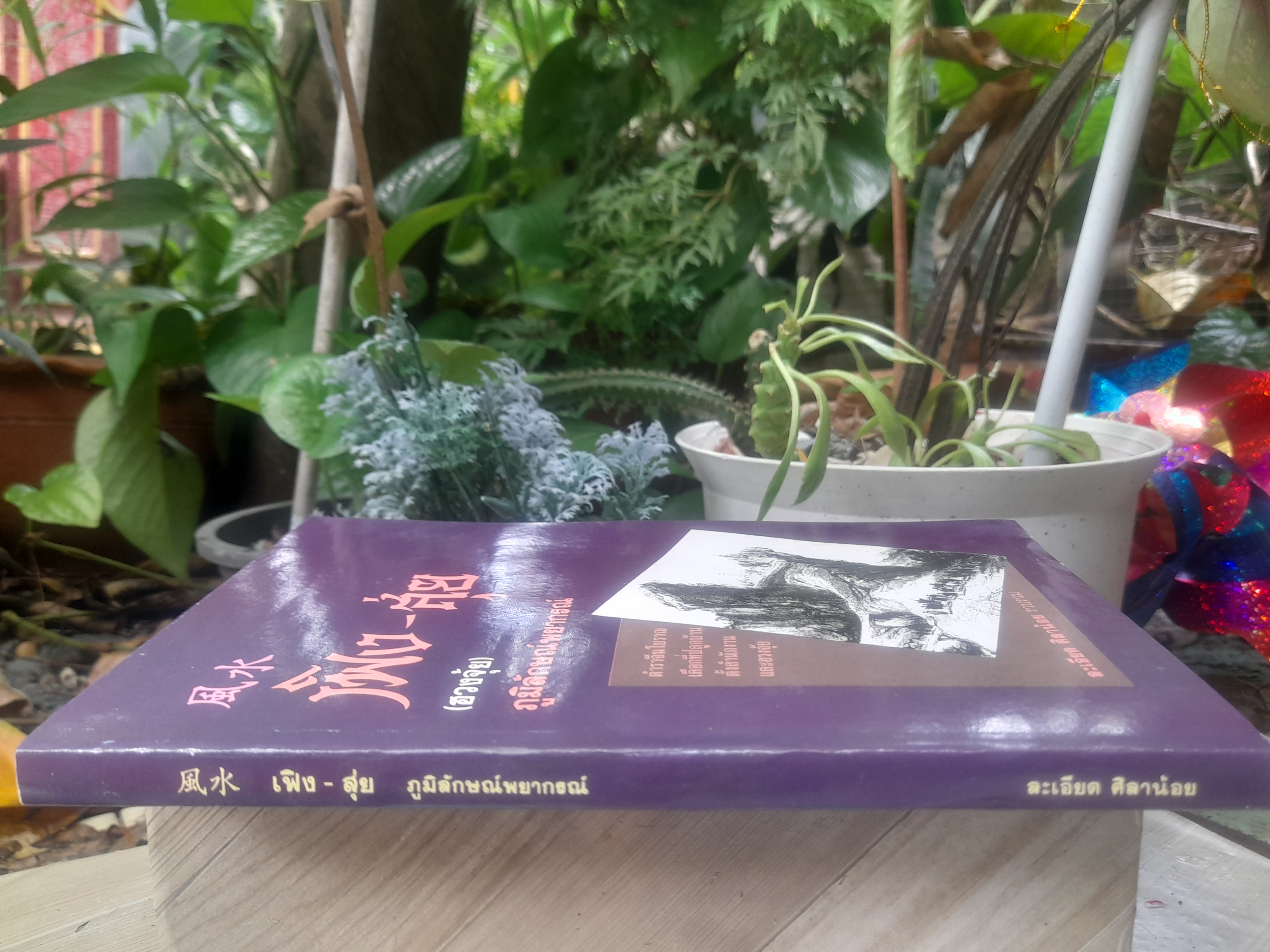 เฟิง-สุ่ย (ฮวงจุ้ย) ภูมิลักษณ์พยากรณ์ ตำราจีนโบราณเลือกที่ปลูกบ้าน ตั้งสำนักงานและฮวงจุ้ย