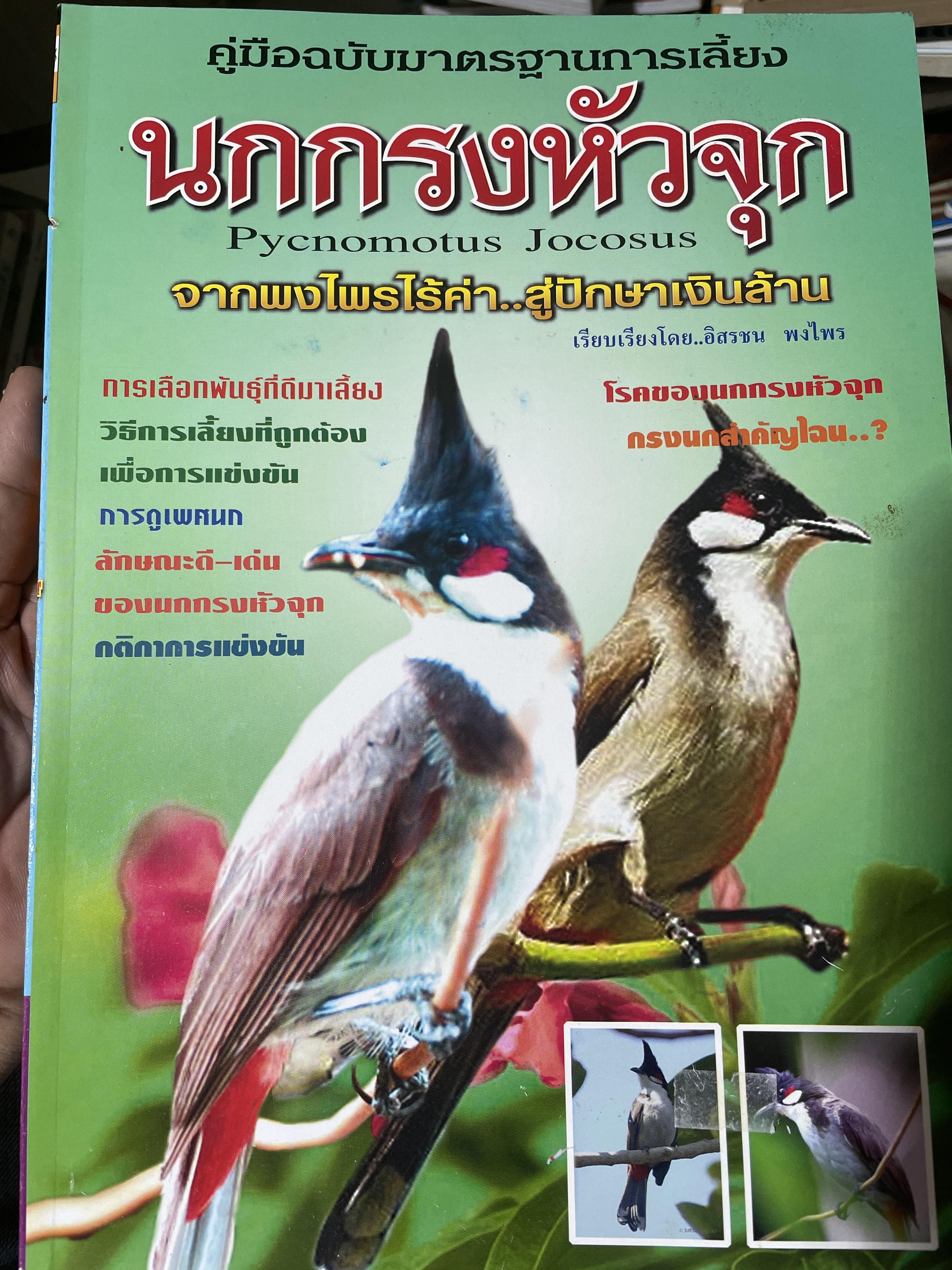 นกกรงหัวจุก เป็นหนังสือฉบับมาตรฐานการเลี้ยง Pyconomotus. Jocosus. จากพงไพรไร้ค่า…สู่ปักษาเงินล้าน 900 กรัม