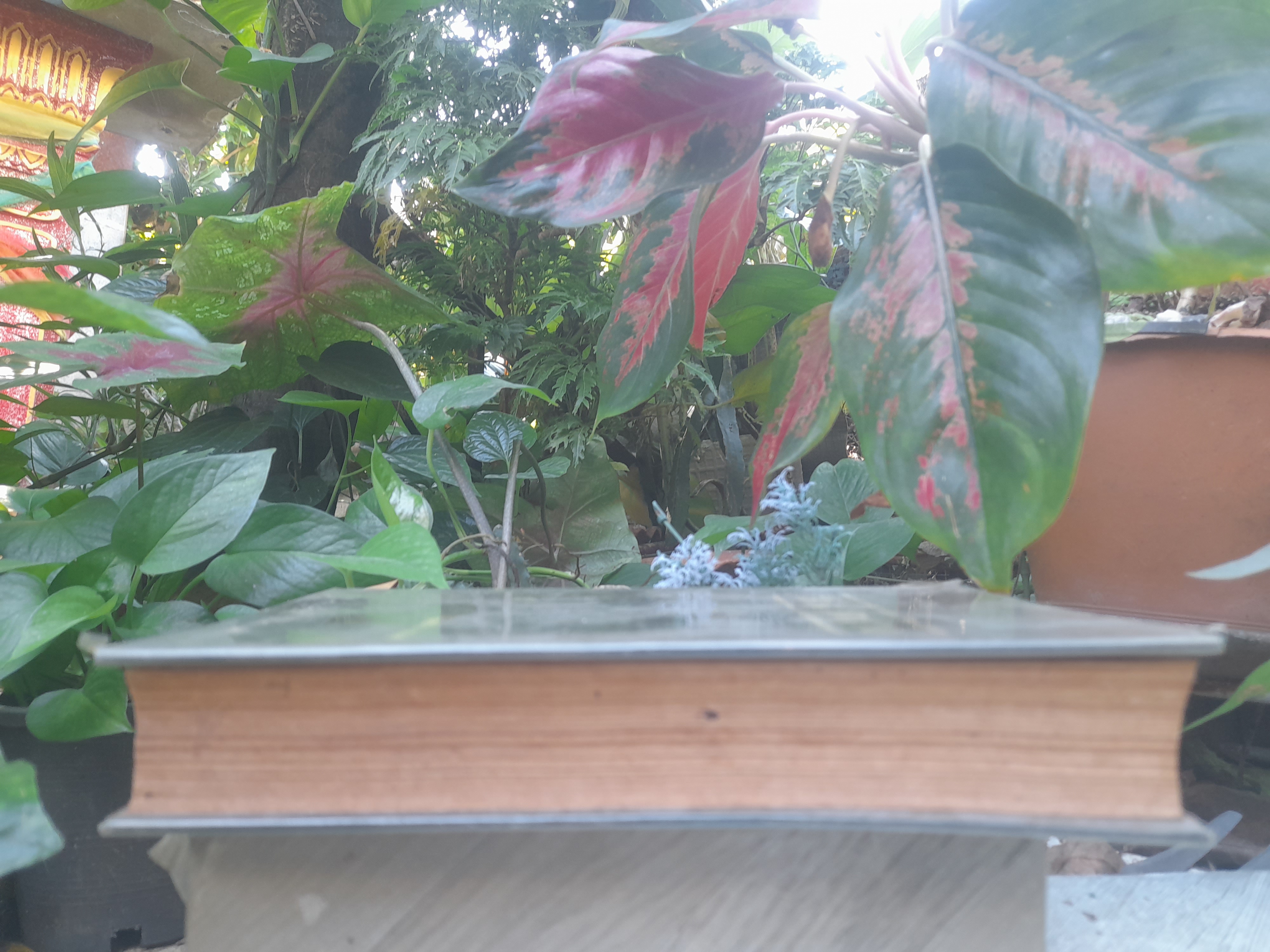 วิถีแห่งสุขภาพ โดย ฮิวเบอร์ต โอ. สวอร์เทาท์ ว่าด้วยปัญหาสุขภาพที่พึงรู้ ใช้ศัพท์ทั่วไปเข้าใจง่าย เพื่อสุขภาพอนามัยที่ดี