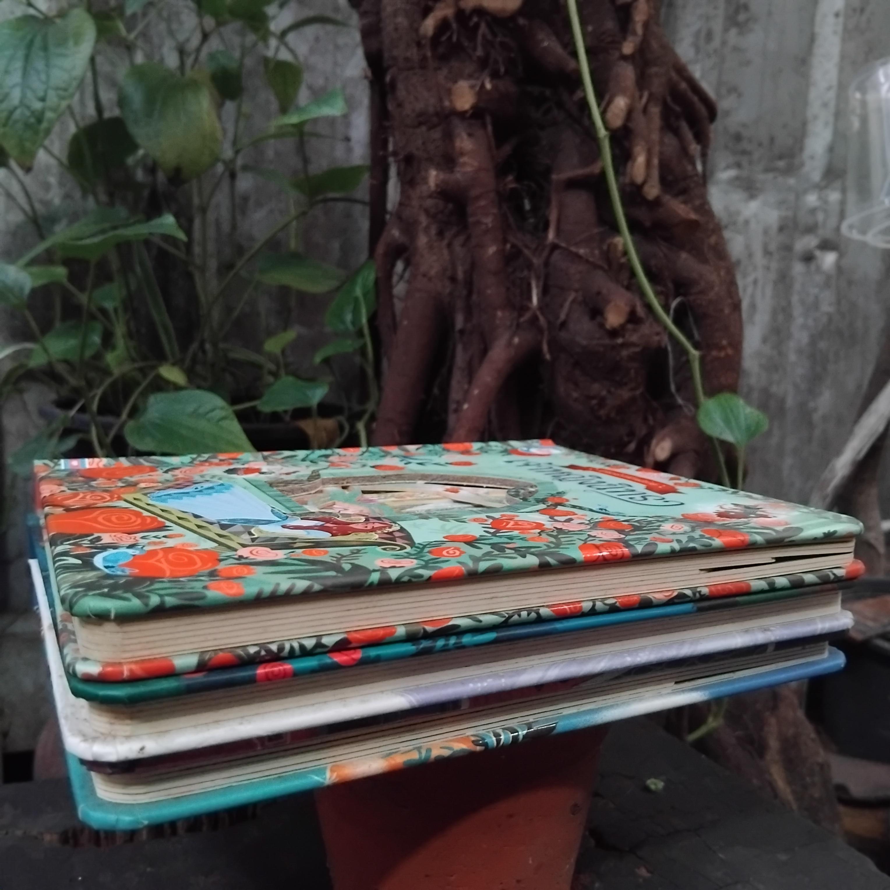 นิทานภาพแบบ Lift-the-Flap พลิกเปิดแสนสนุก มือ1 ภาพสวยมากๆครับ