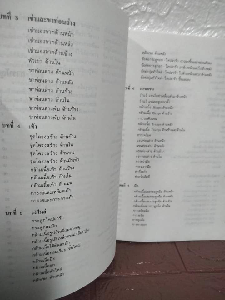 บทเรียนกายวิภาคจากศิลปินเอก