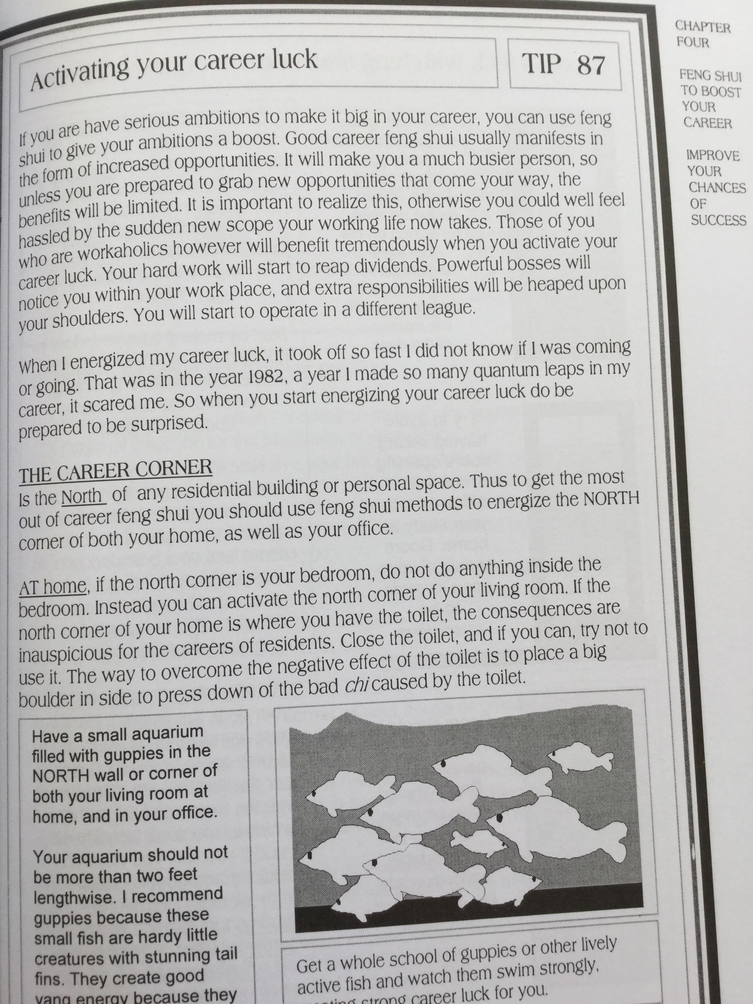 Personalised Feng Shui Tlps At work in the Bedroom At home. ผู้เขียน Lillian Too 0 กก.