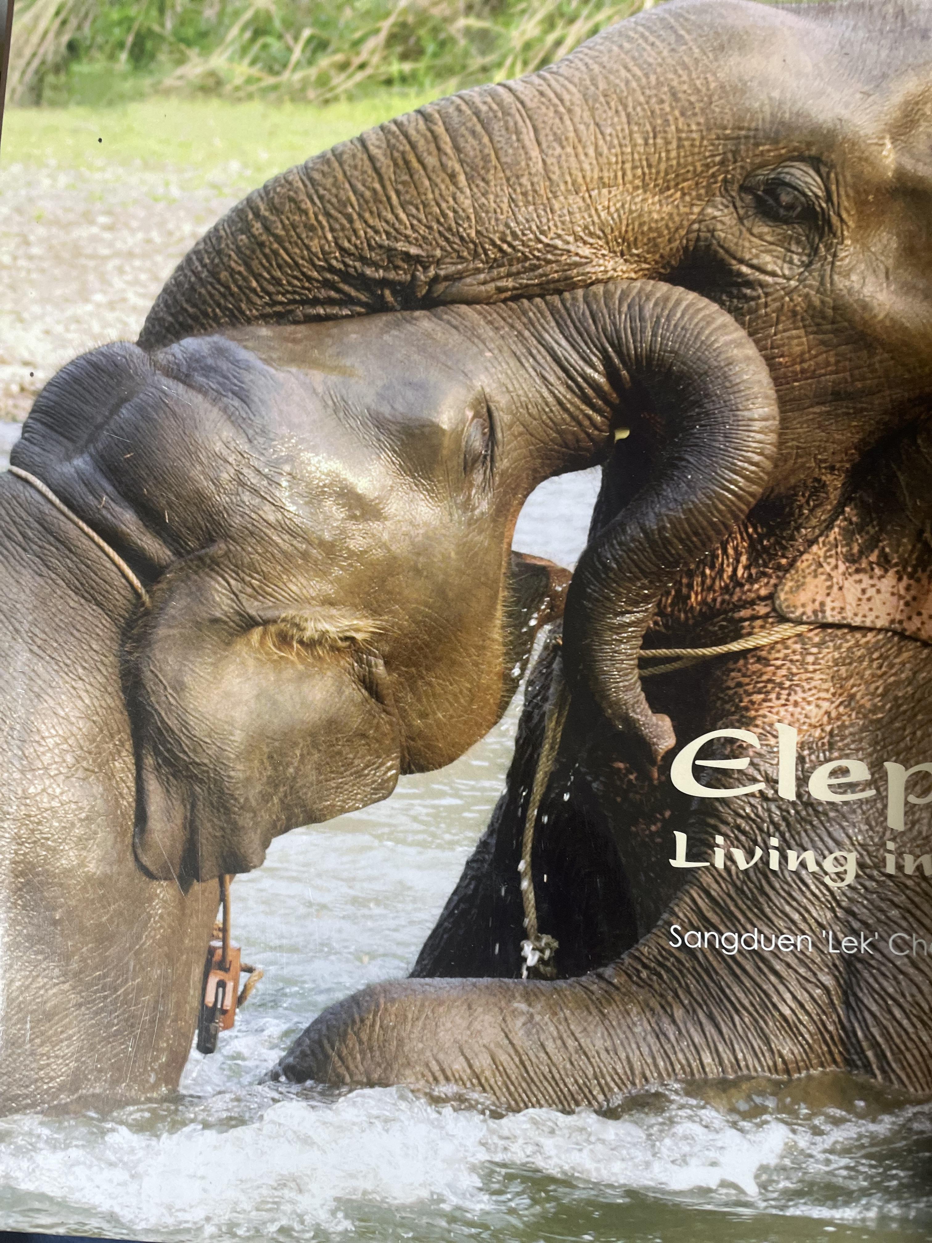 Elephants Living in Sanctuary 3 กก.