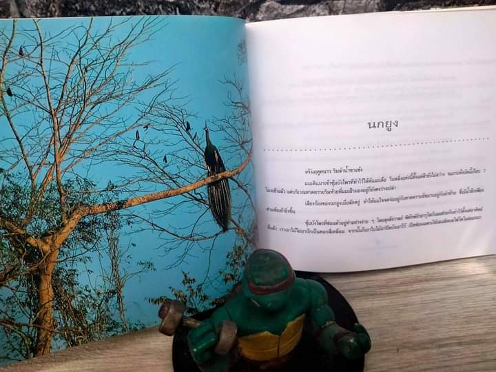 นก ดวงตาและหัวใจ ของ ม.ล.ปริญญากร วรวรรณ