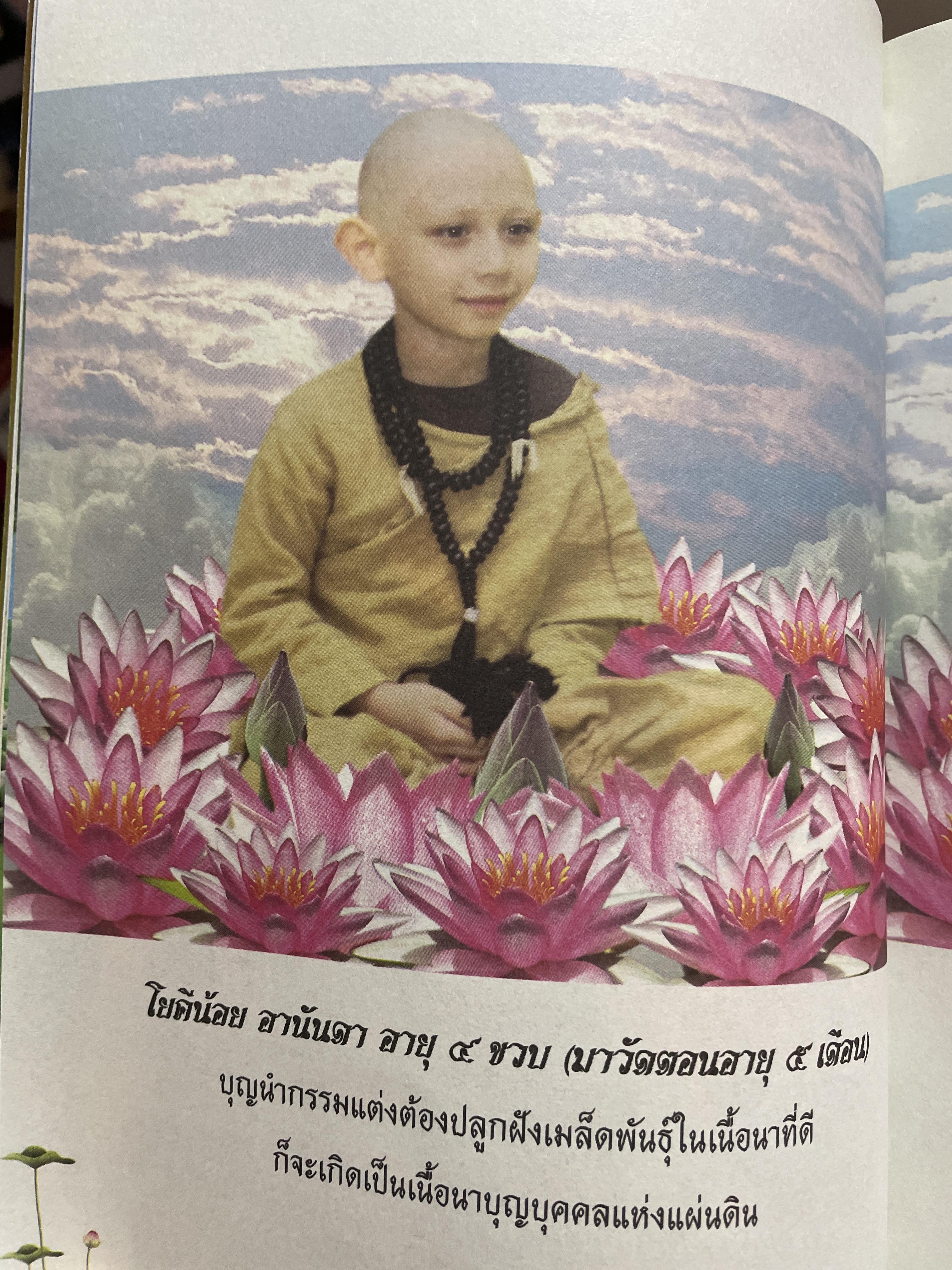 สืบสานวิถีบารมี 30 ทัศ โดย ภิกษุ อานันท์ พุทธธัมโม 1,200 กรัม