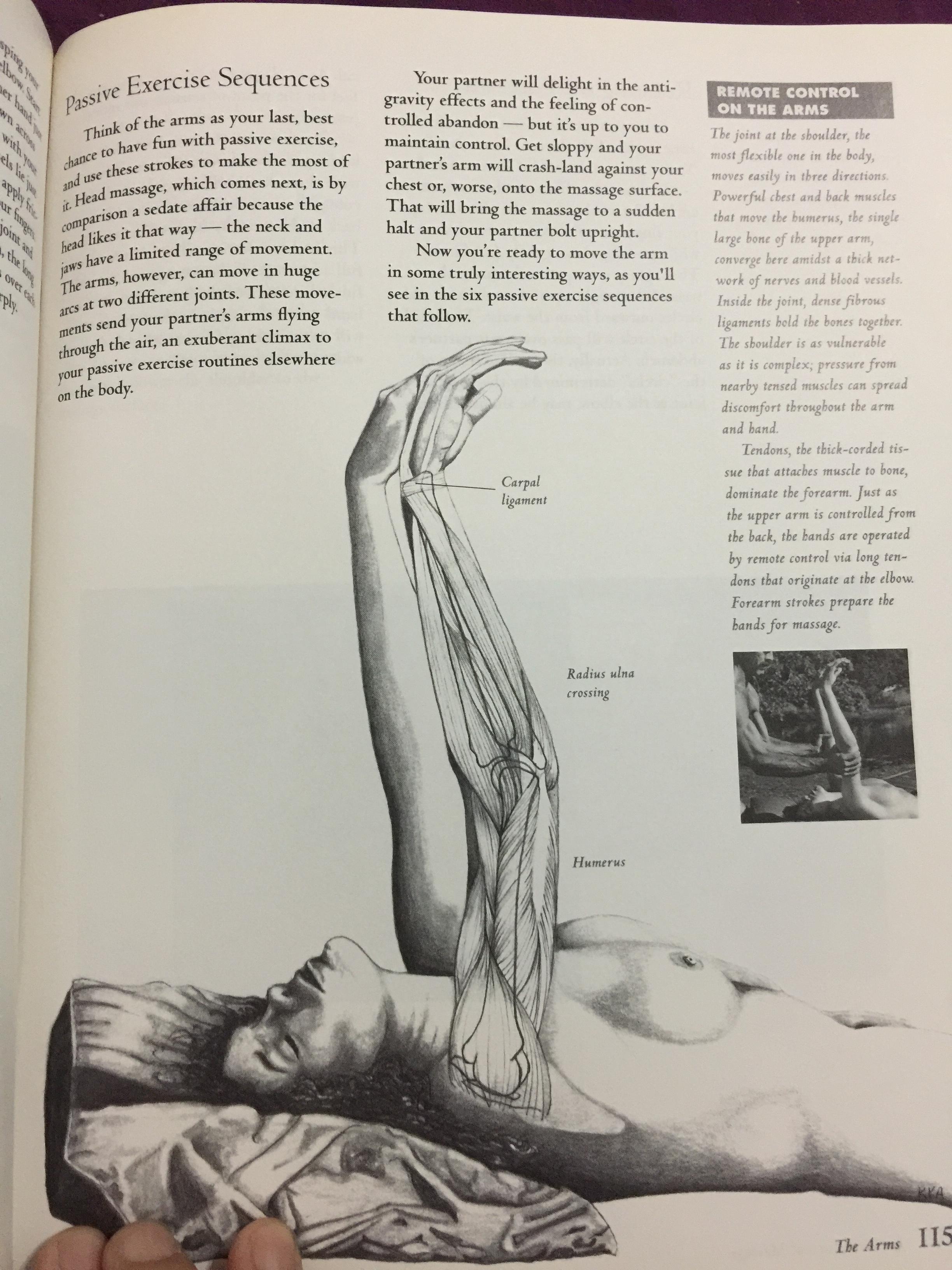 THE NEW SENSUAL MASSAGE Learn to give plea sure with your hands ผู้เขียน Gordon Inkeles Author of The Art of Sensual Massage 0 กก.
