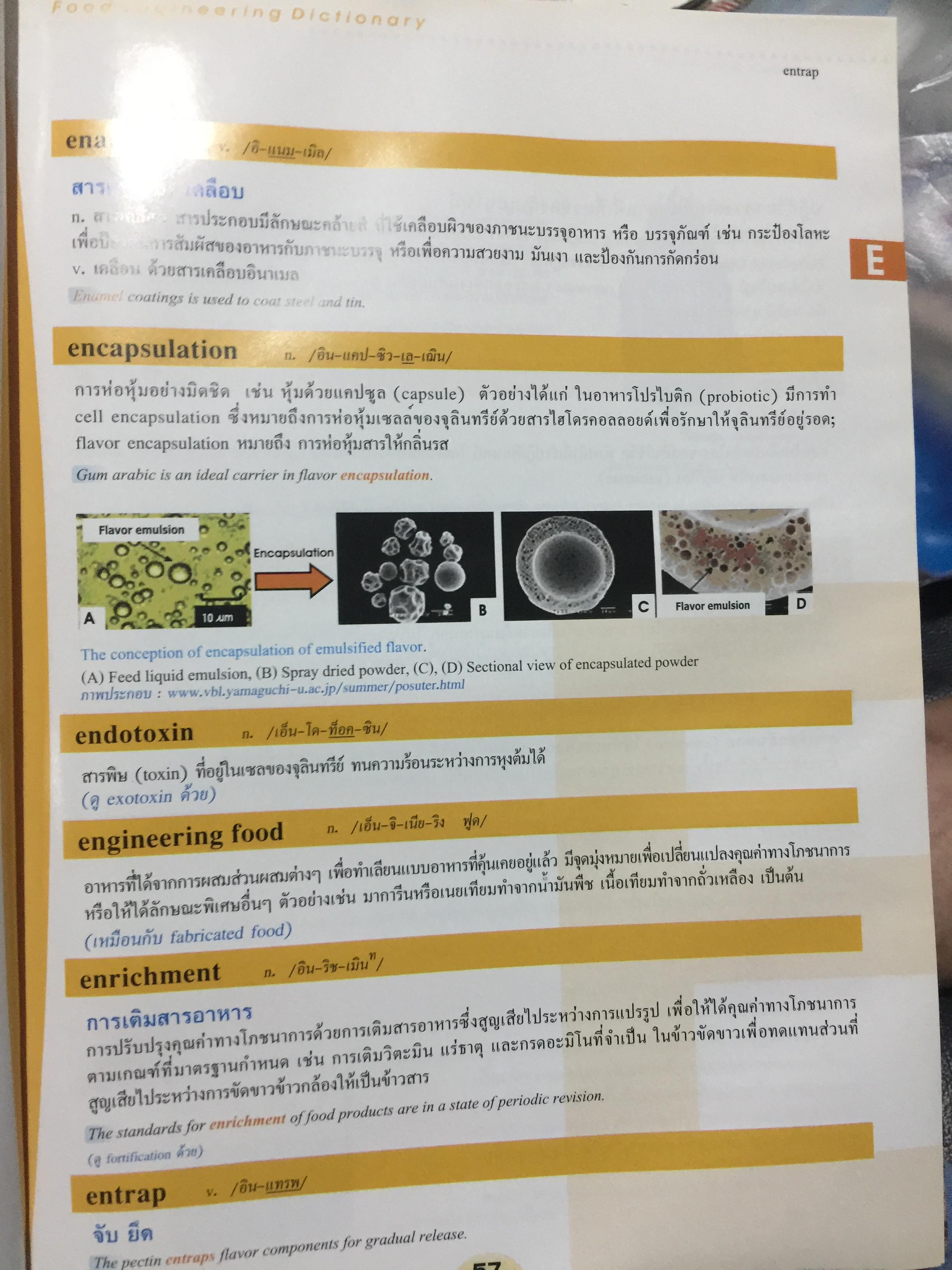 พจนานุกรม วิศวกรรมอาหาร (อังกฤษ-ไทย). English -Thai Dictionary of Food Engineering 0 กก.