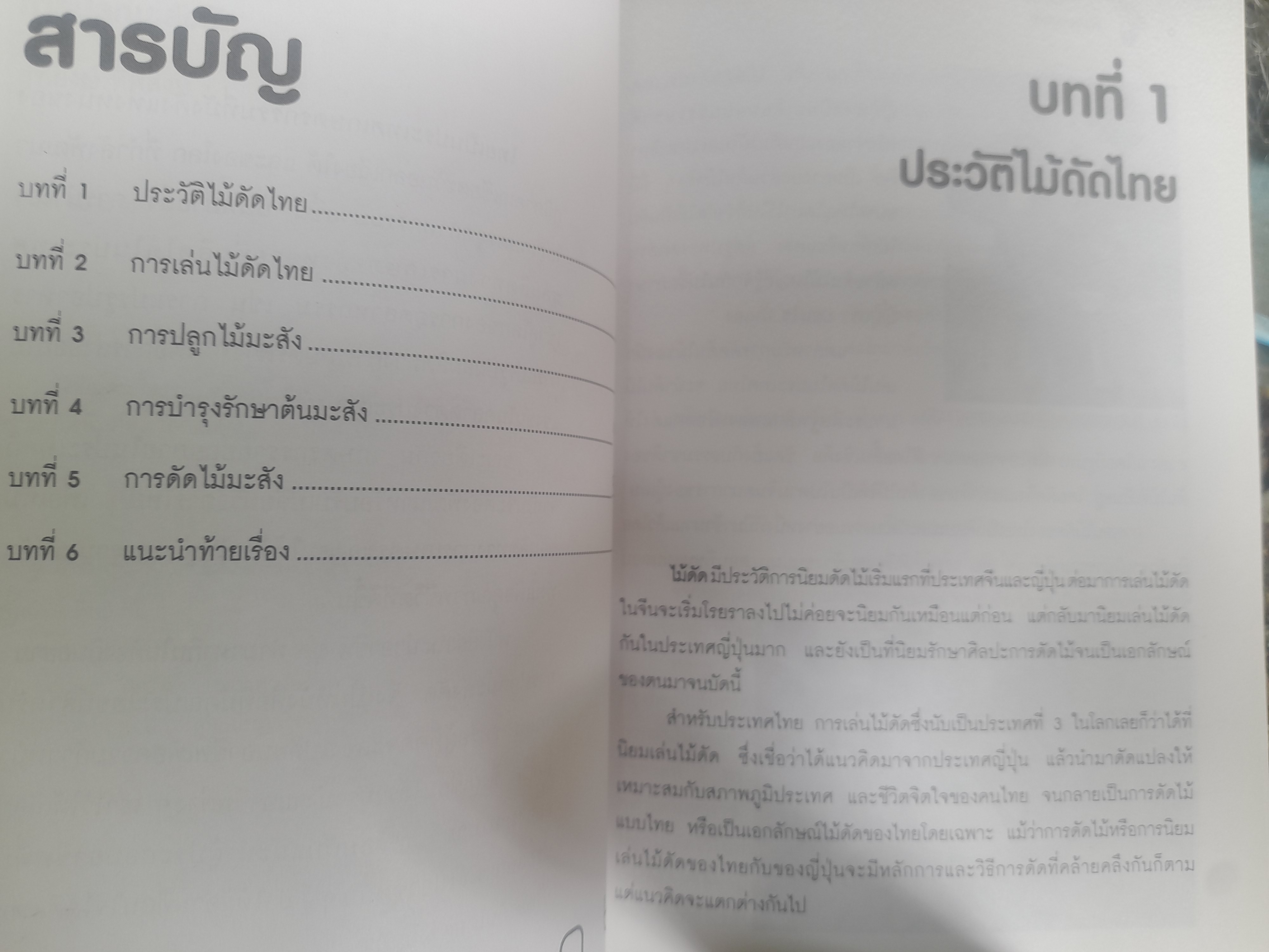 ไม้ดัด การปลูกมะสังดัด โดย ยุพยงษ์ ทิพสิงห์ เนื้อหาละเอียดตั้งแต่เริ่มปลูกจนถึงการดูแลมะสังดัด