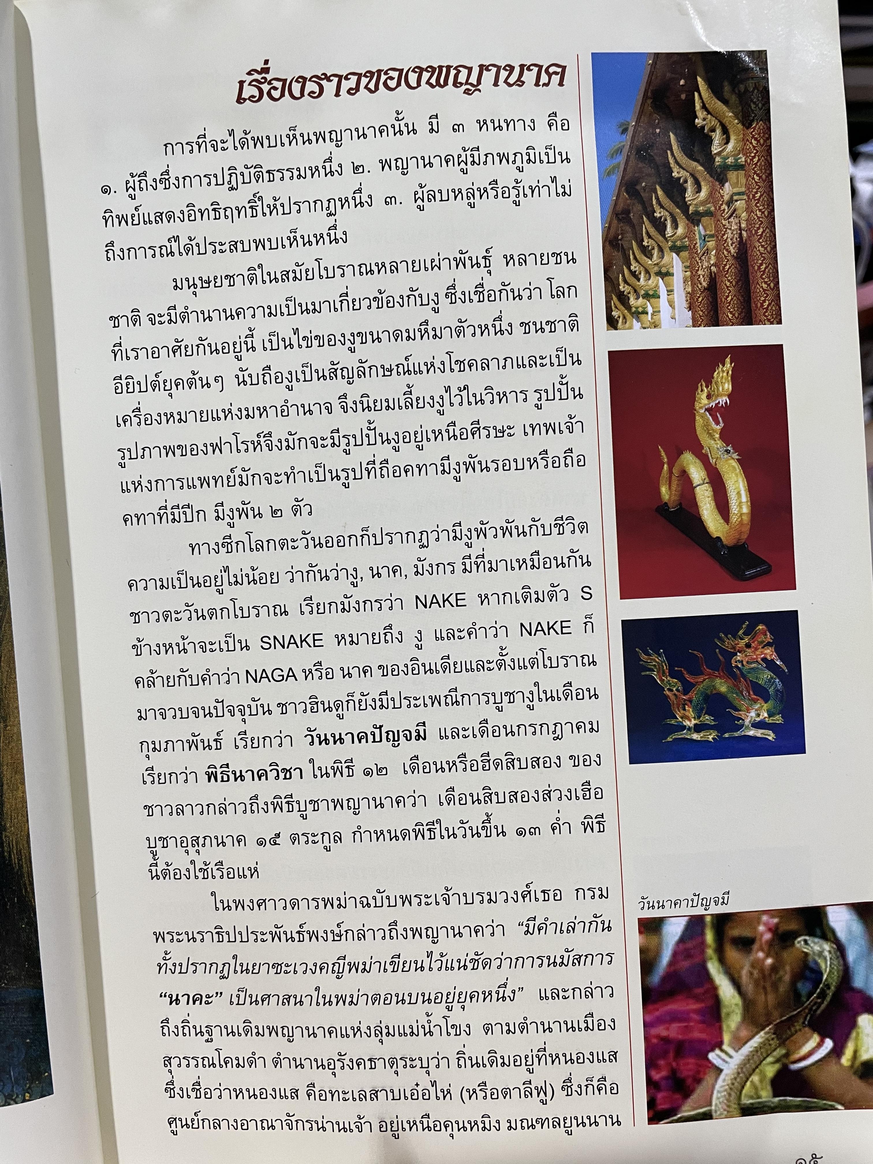 อัศจรรย์บั้งไฟพญานาค รวมภาพและประสบการณ์บั้งไฟพญานาค ปาฏิหาริย์แห่งนาคพิภพ (ไม่มีพระผงพญานาคราชที่แจก) ผู้เขียน อาจารย์ทศพล จังพานิชยากุล) 3,500 กรัม