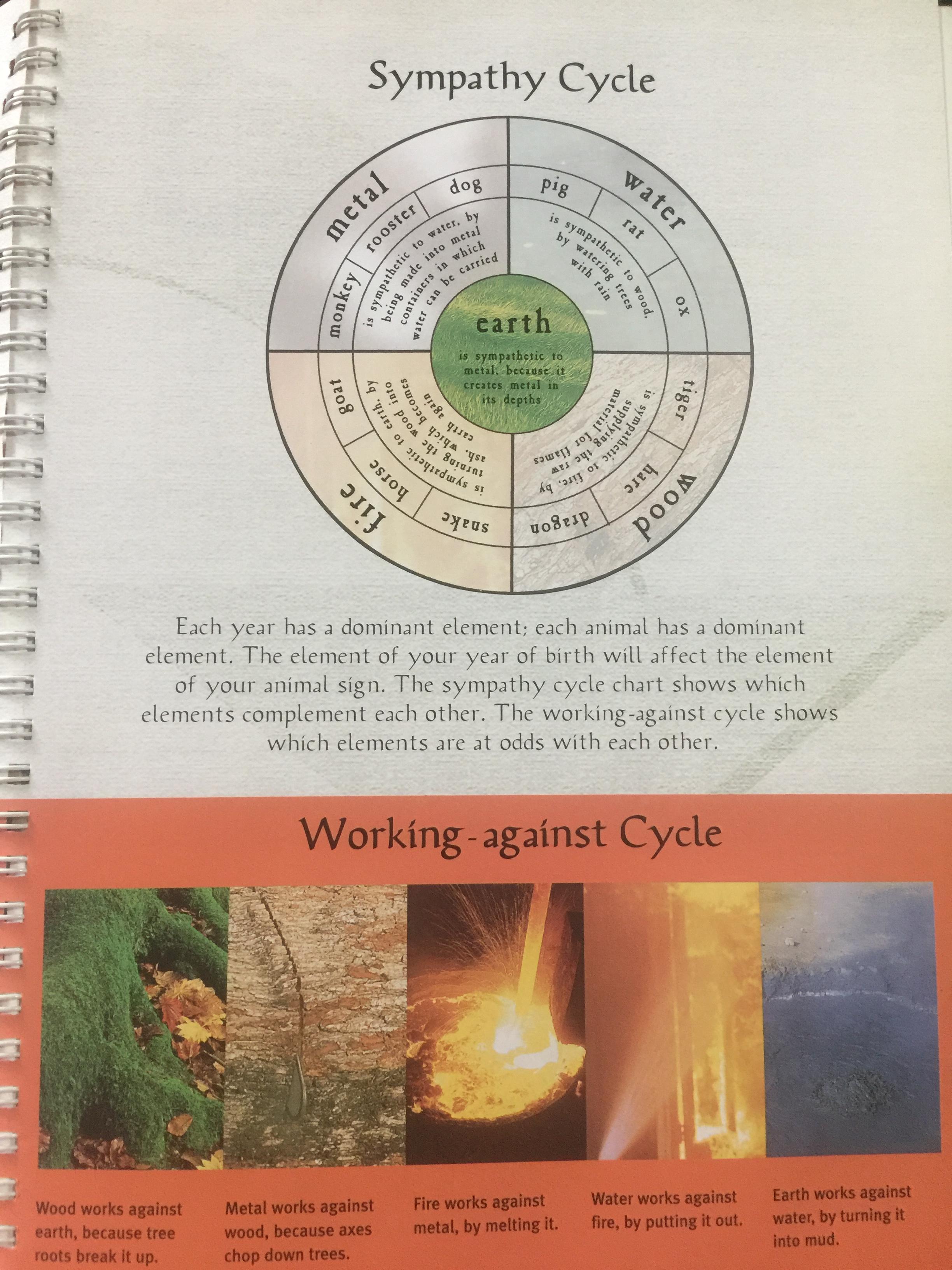 CHINESE ASTROLOGY ผู้เขียน RICHARD CRAZE 0 กก.